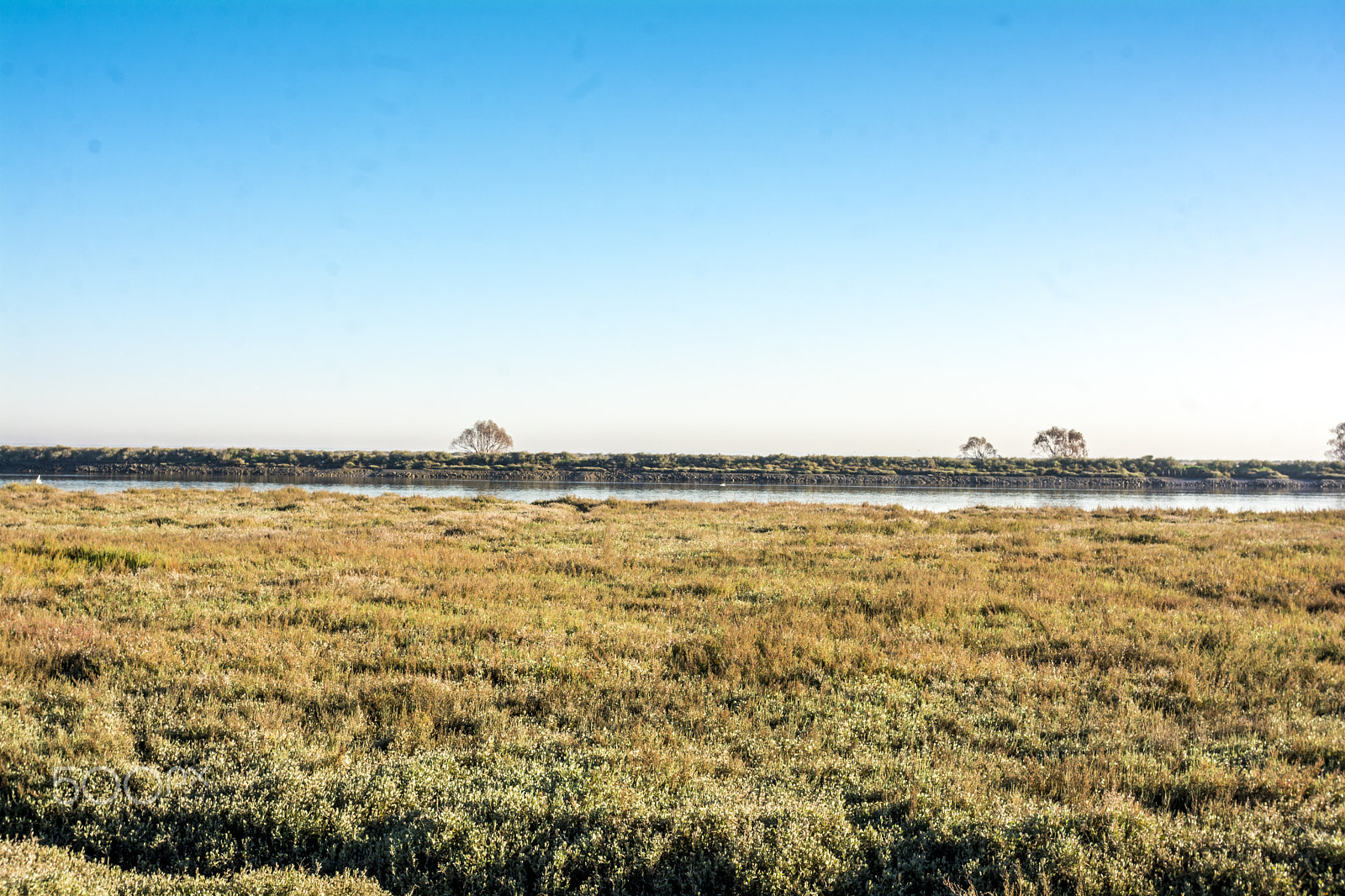 Nikon D7100 + Sigma 30mm F1.4 EX DC HSM sample photo. Winter grass and sky photography