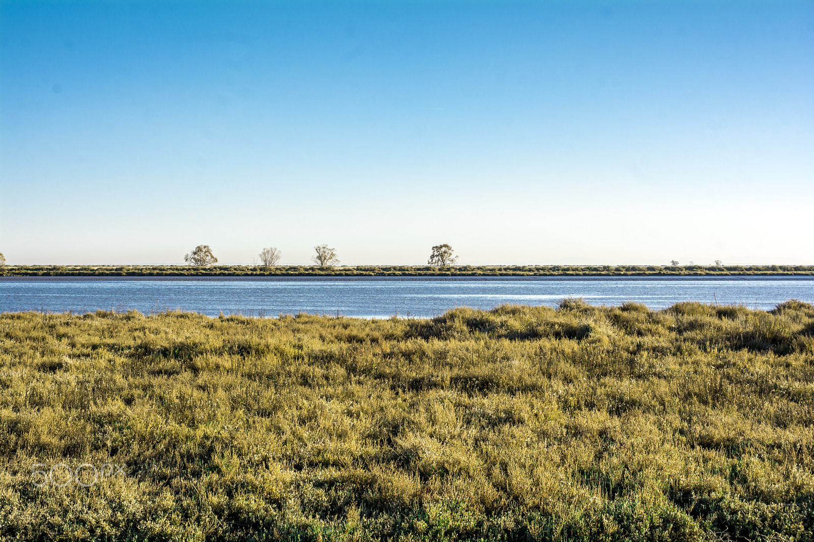 Nikon D7100 + Sigma 30mm F1.4 EX DC HSM sample photo. Winter grass and sky photography