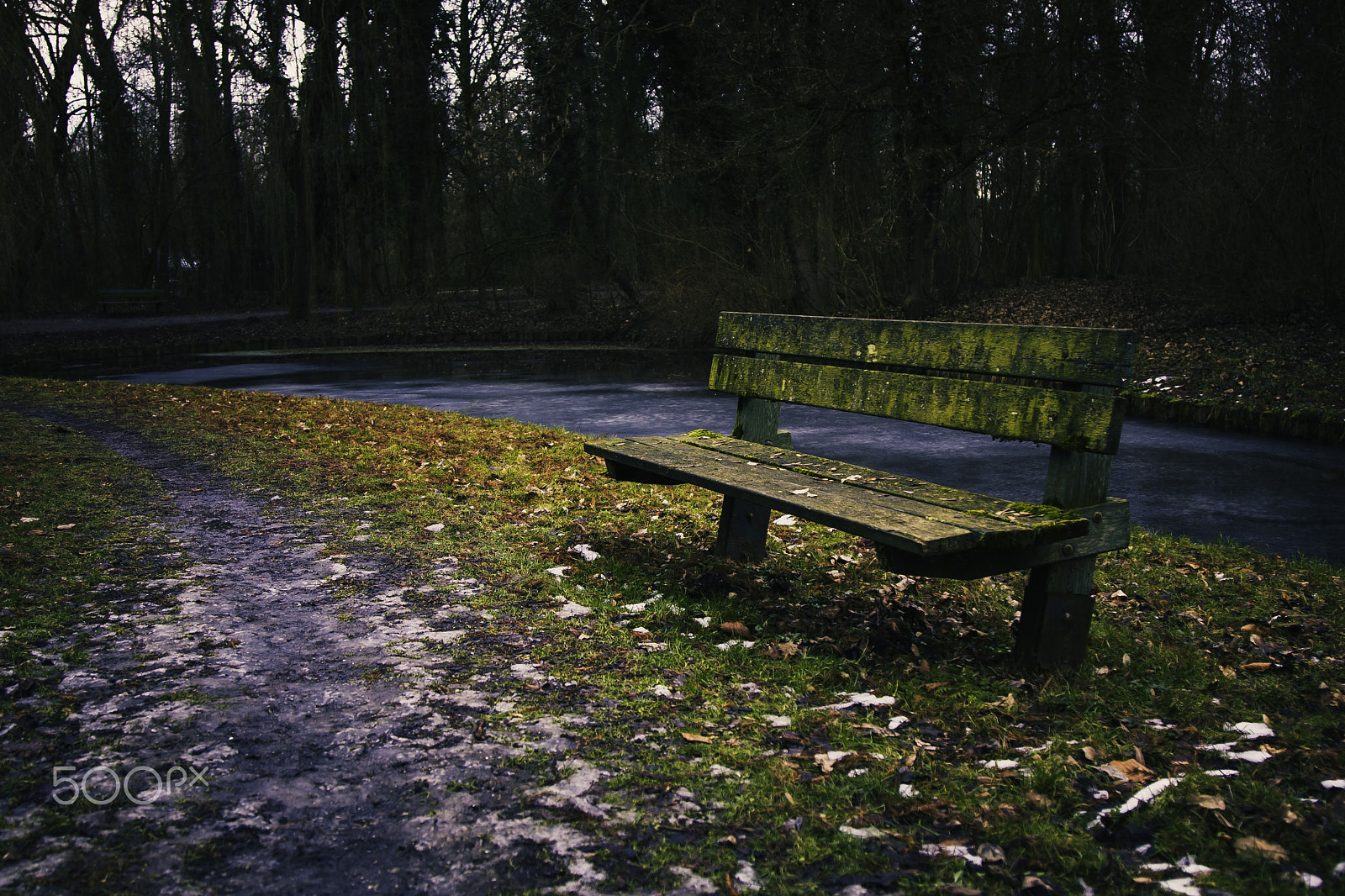 Canon EOS 40D + Canon EF 24-105mm F4L IS USM sample photo. Bench ekenstein photography