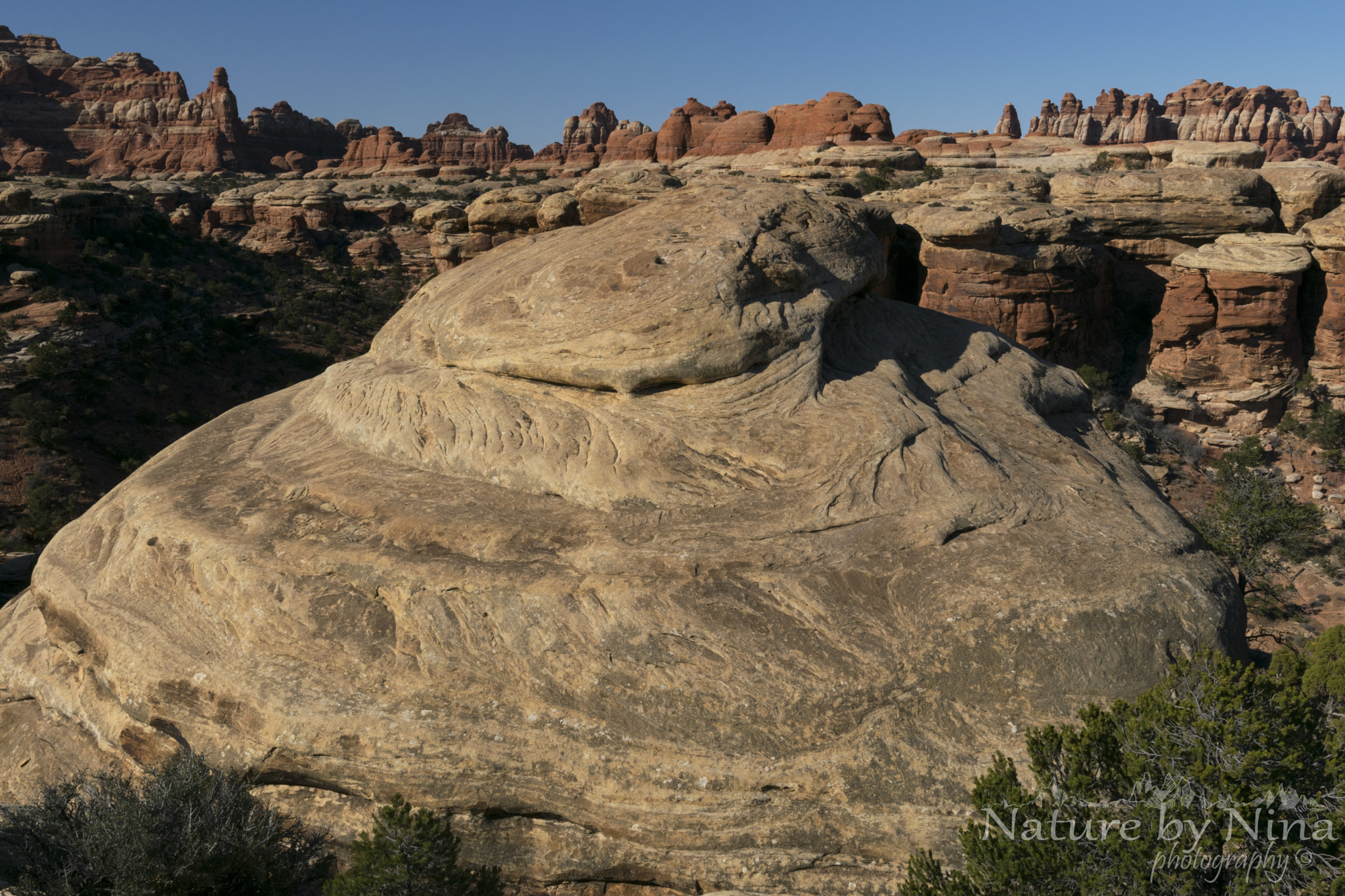 Nikon D5300 + Nikon AF-S Nikkor 20mm F1.8G ED sample photo. Cool whip photography