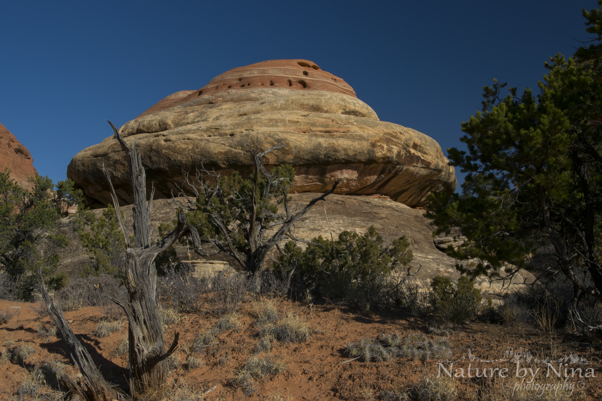 Nikon D5300 + Nikon AF-S Nikkor 20mm F1.8G ED sample photo. The ufo photography