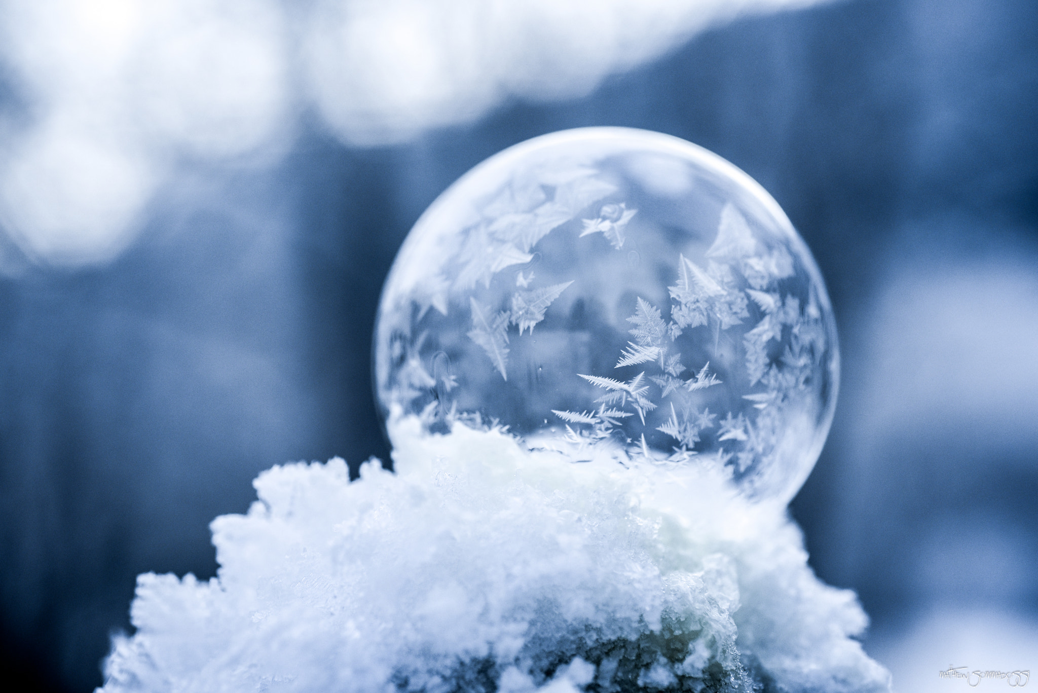 Nikon D750 + AF Micro-Nikkor 60mm f/2.8 sample photo. Icing balls 4 photography
