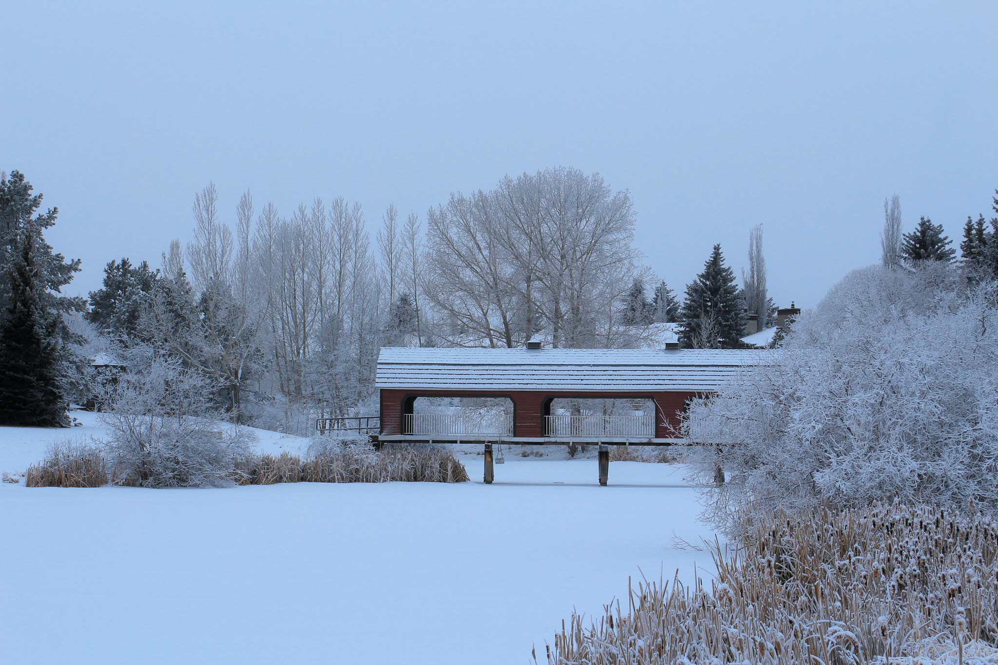 Canon EOS 650D (EOS Rebel T4i / EOS Kiss X6i) sample photo. Cover wooden bridge in winter photography