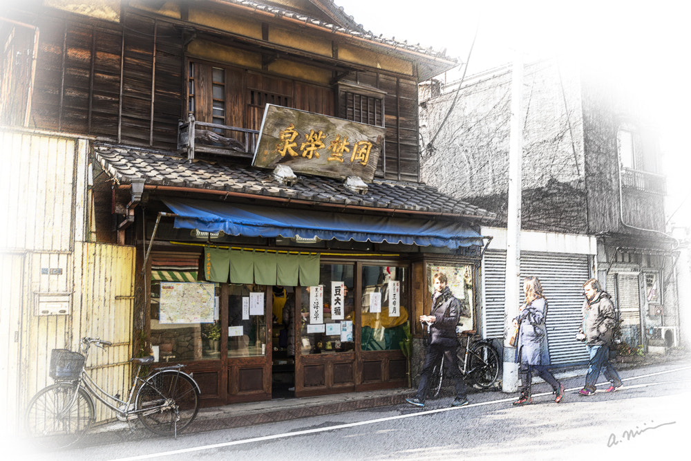 Canon EOS M3 + Canon EF-M 11-22mm F4-5.6 IS STM sample photo. Okanoeisen-yanaka, tokyo photography