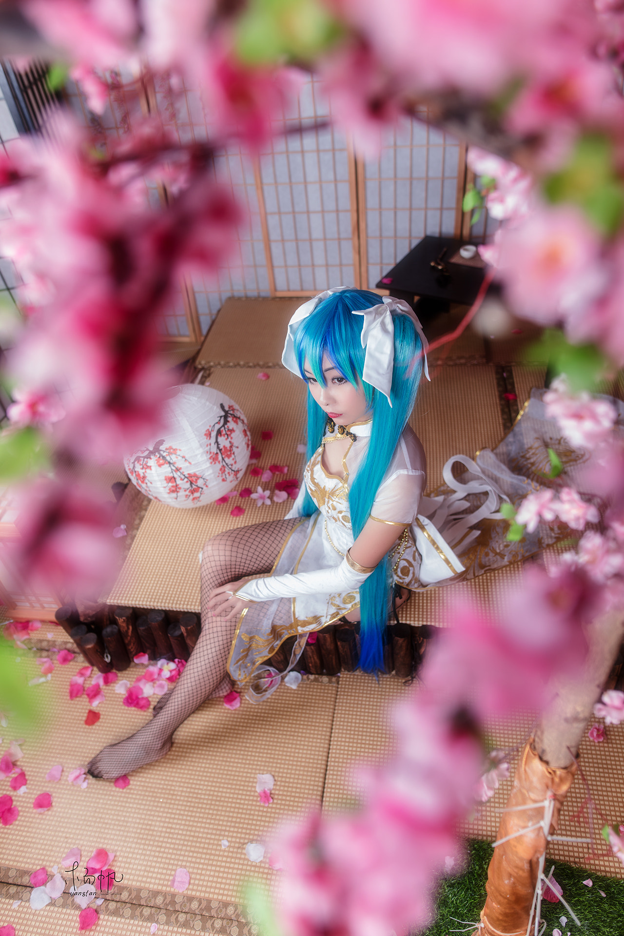 Sigma 24mm F1.4 DG HSM Art sample photo. 金丝雀 photography
