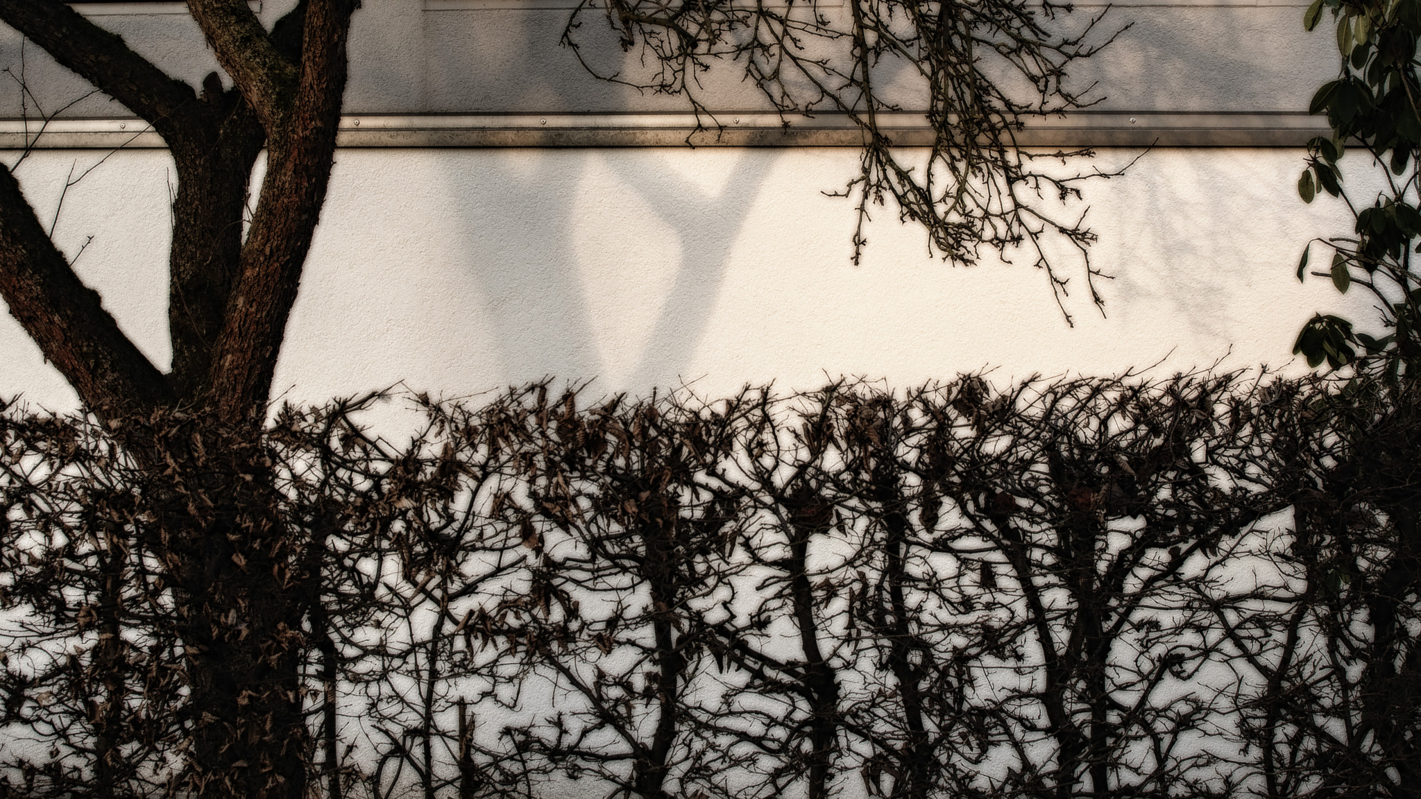 AF Zoom-Nikkor 28-105mm f/3.5-4.5D IF sample photo. Winter afternoon light photography