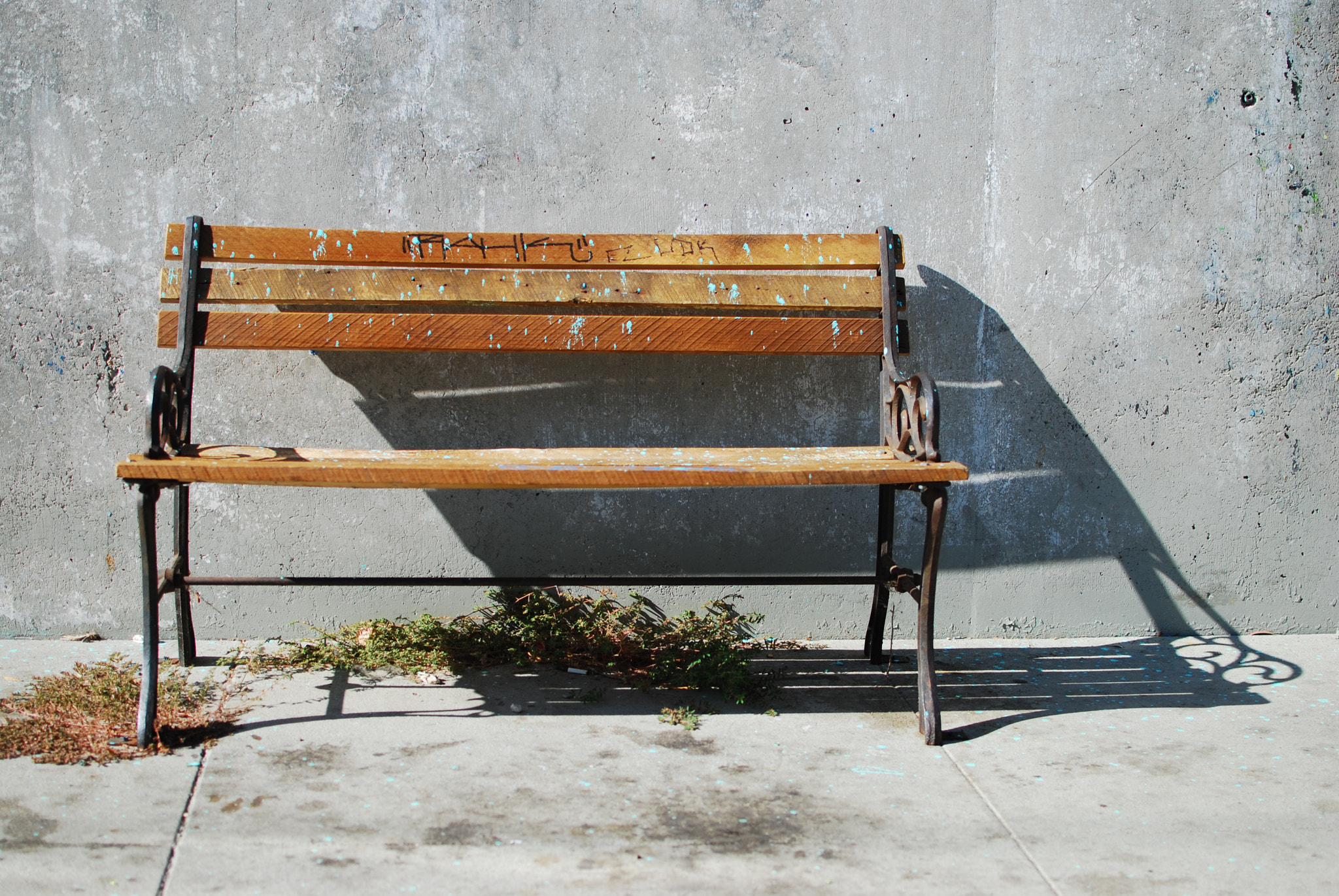 Nikon D80 + Nikon AF-S DX Nikkor 35mm F1.8G sample photo. Bench photography