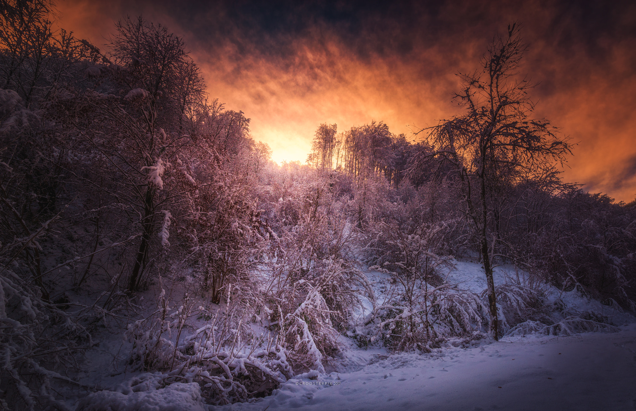 Nikon D610 + Tamron SP 15-30mm F2.8 Di VC USD sample photo. The colors of winter photography