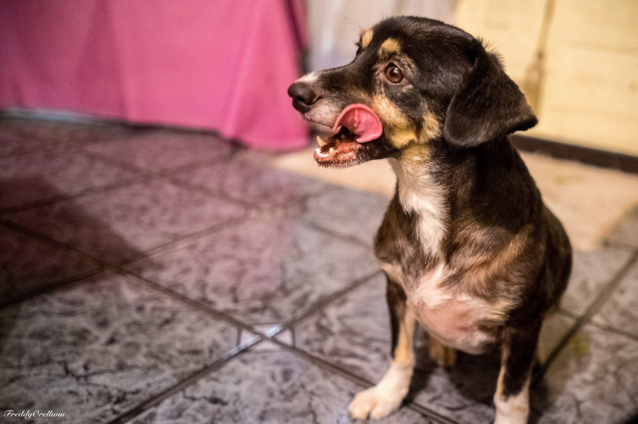 Sony a7 + Sony FE 28mm F2 sample photo