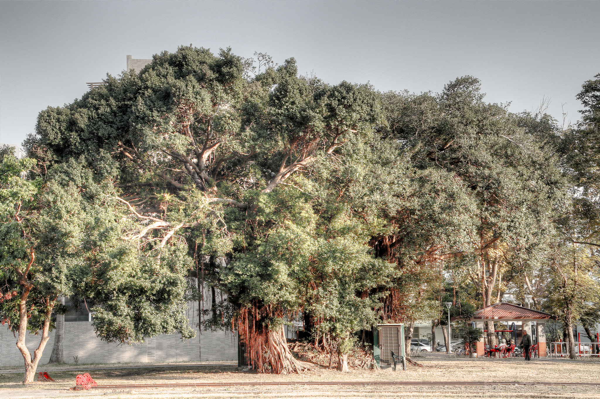 Canon EOS M5 sample photo. Old time photography