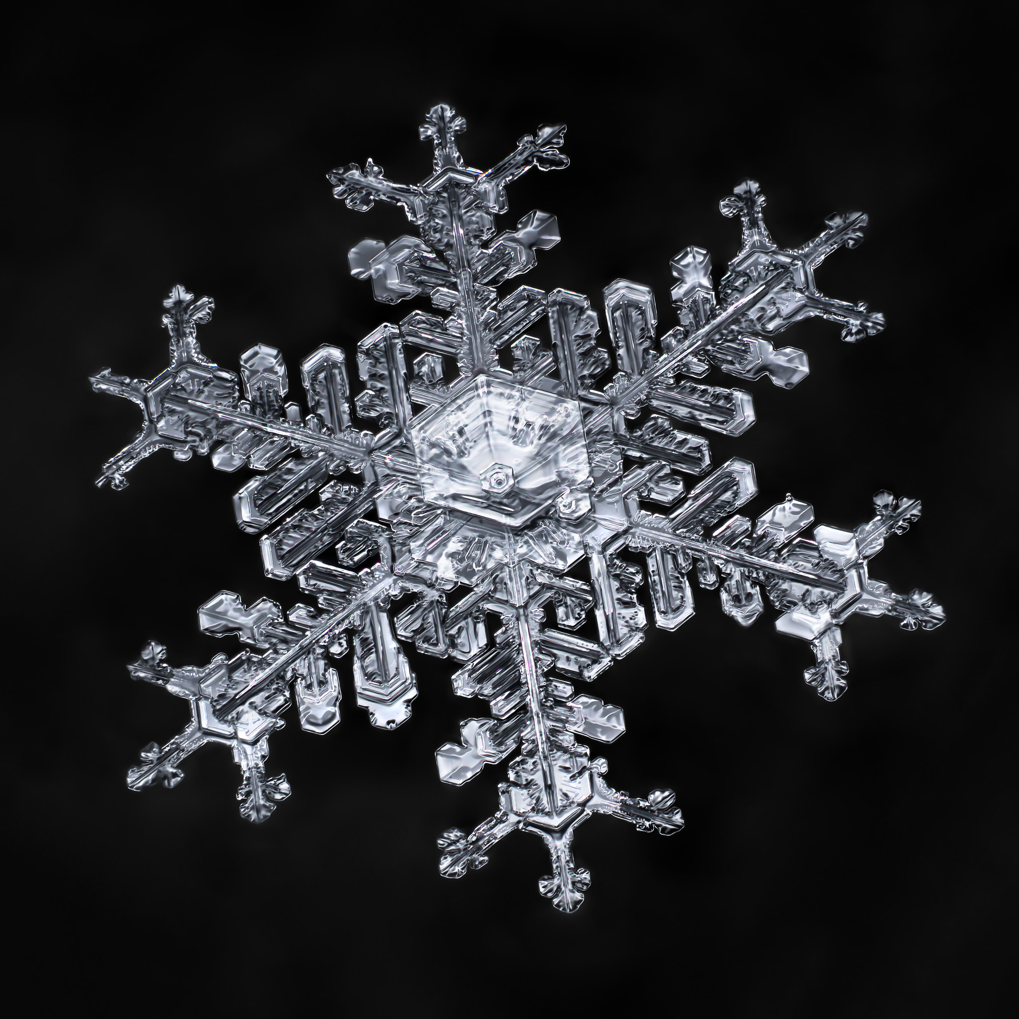 Canon MP-E 65mm F2.5 1-5x Macro Photo sample photo. Snowflake-a-day #43 photography