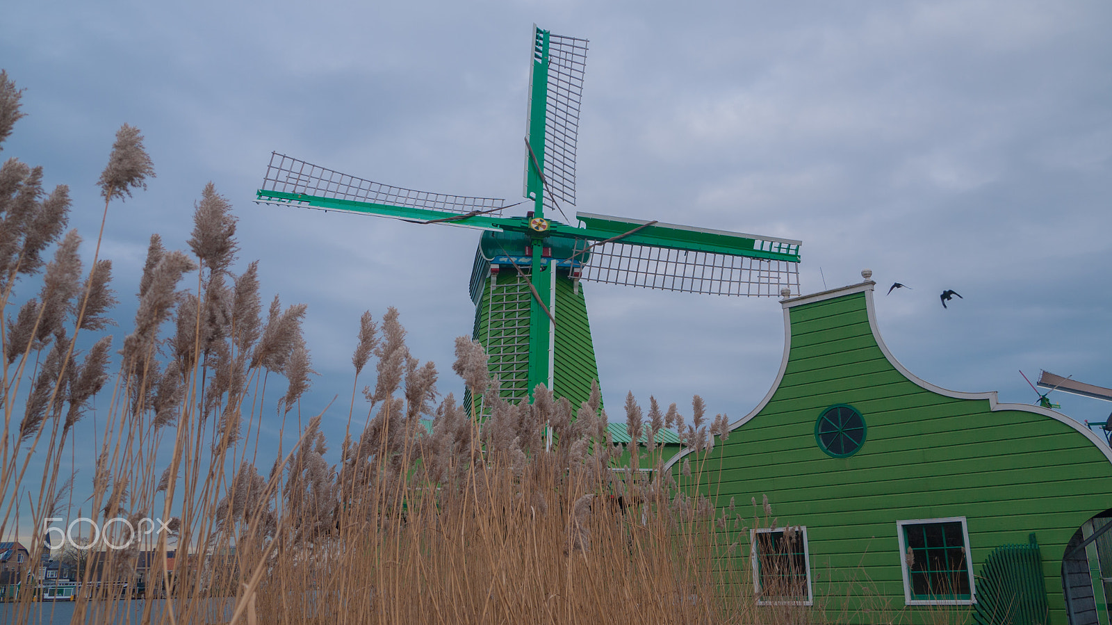 Panasonic Lumix DMC-G1 sample photo. Zaandijk photography
