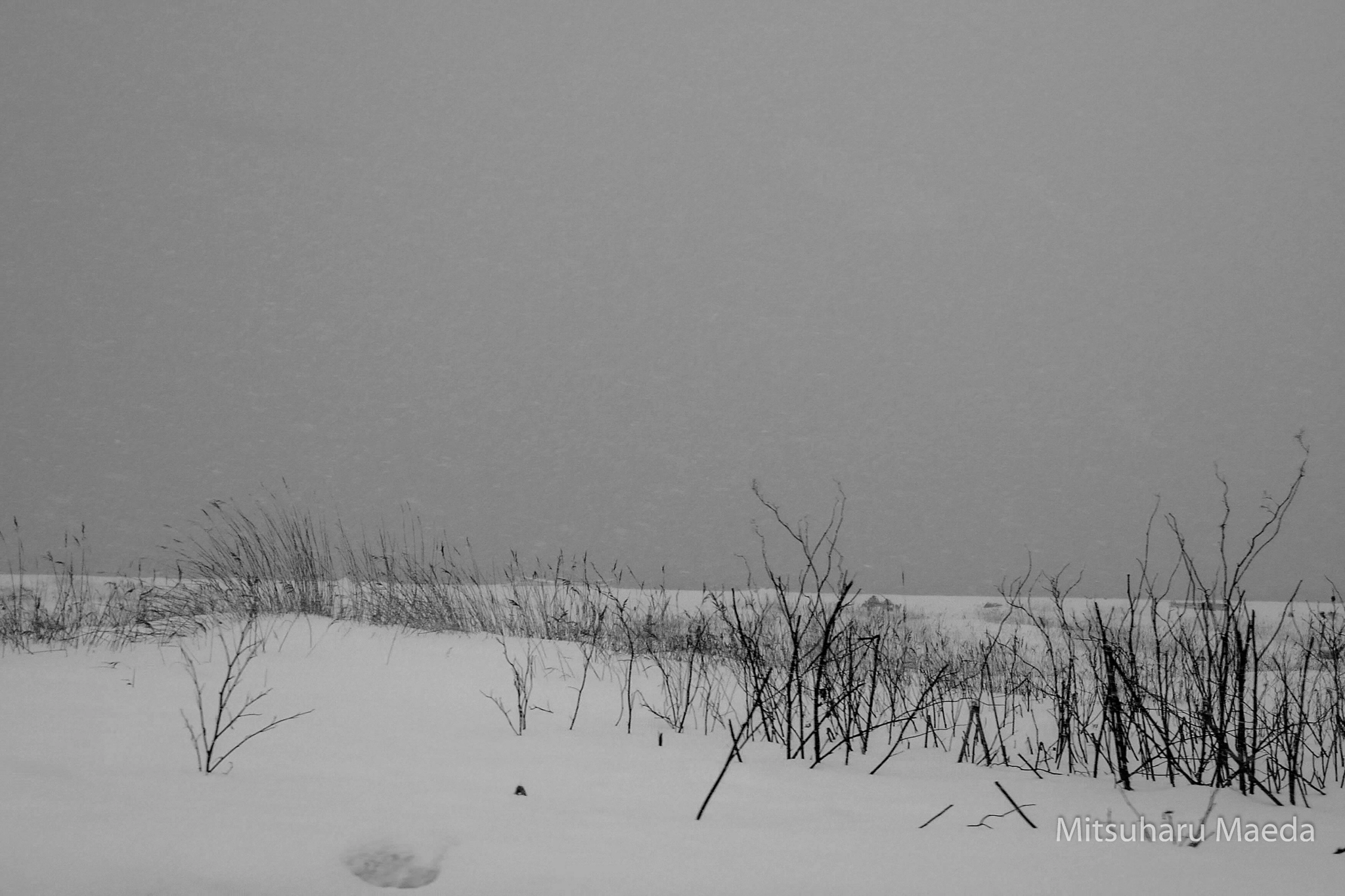 Panasonic DMC-TX1 sample photo. Gray field photography