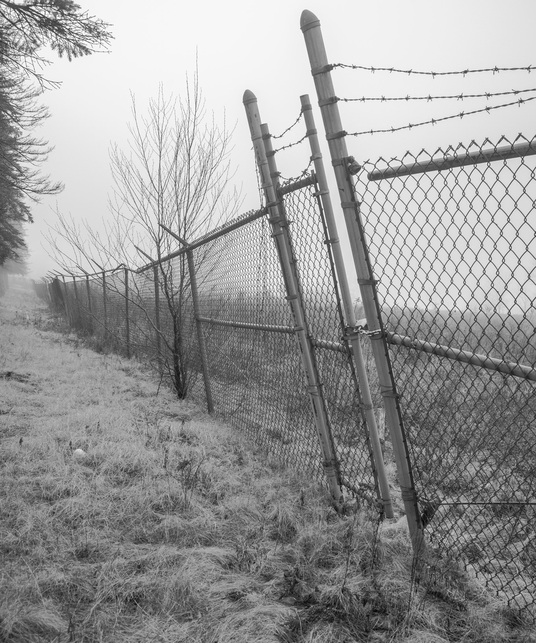 Canon EF 28-80mm f/3.5-5.6 USM sample photo. Leaning fence gate photography