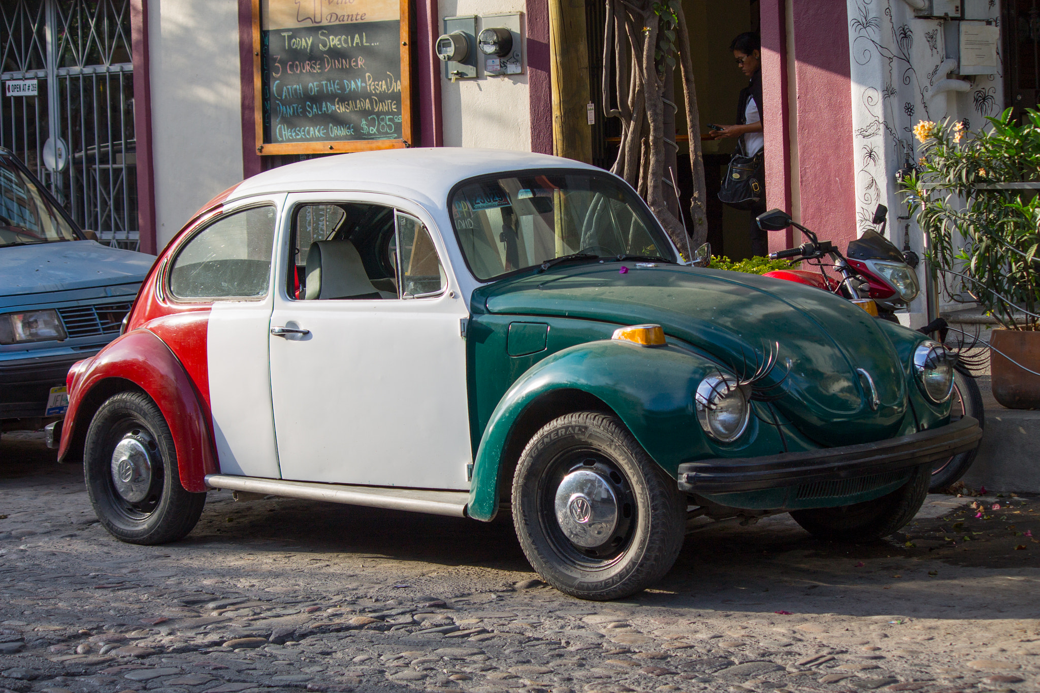 Canon EOS 1100D (EOS Rebel T3 / EOS Kiss X50) sample photo. Mexican beetle photography