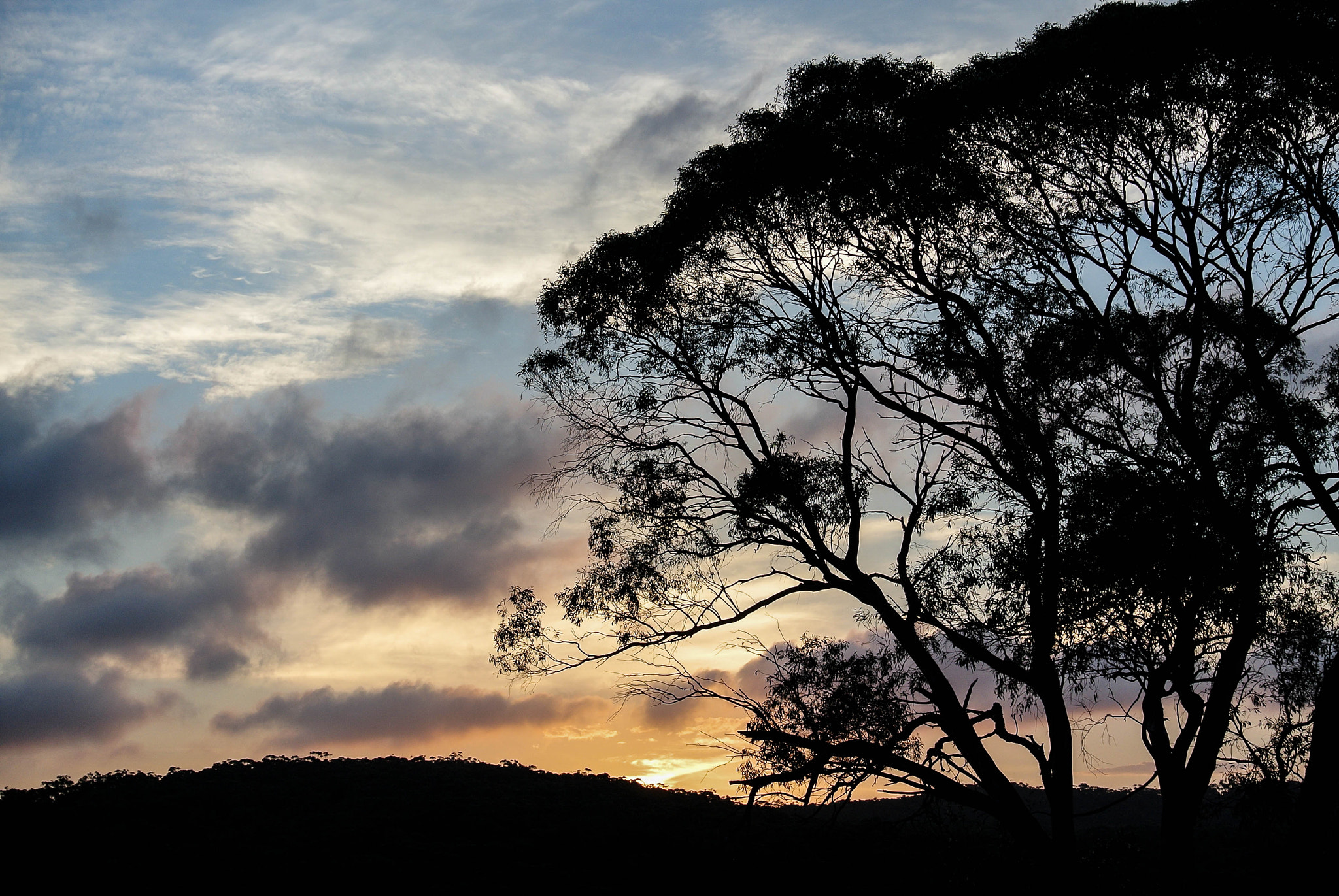 Nikon 1 Nikkor VR 30-110mm F3.8-5.6 sample photo. Front paddock sunset photography
