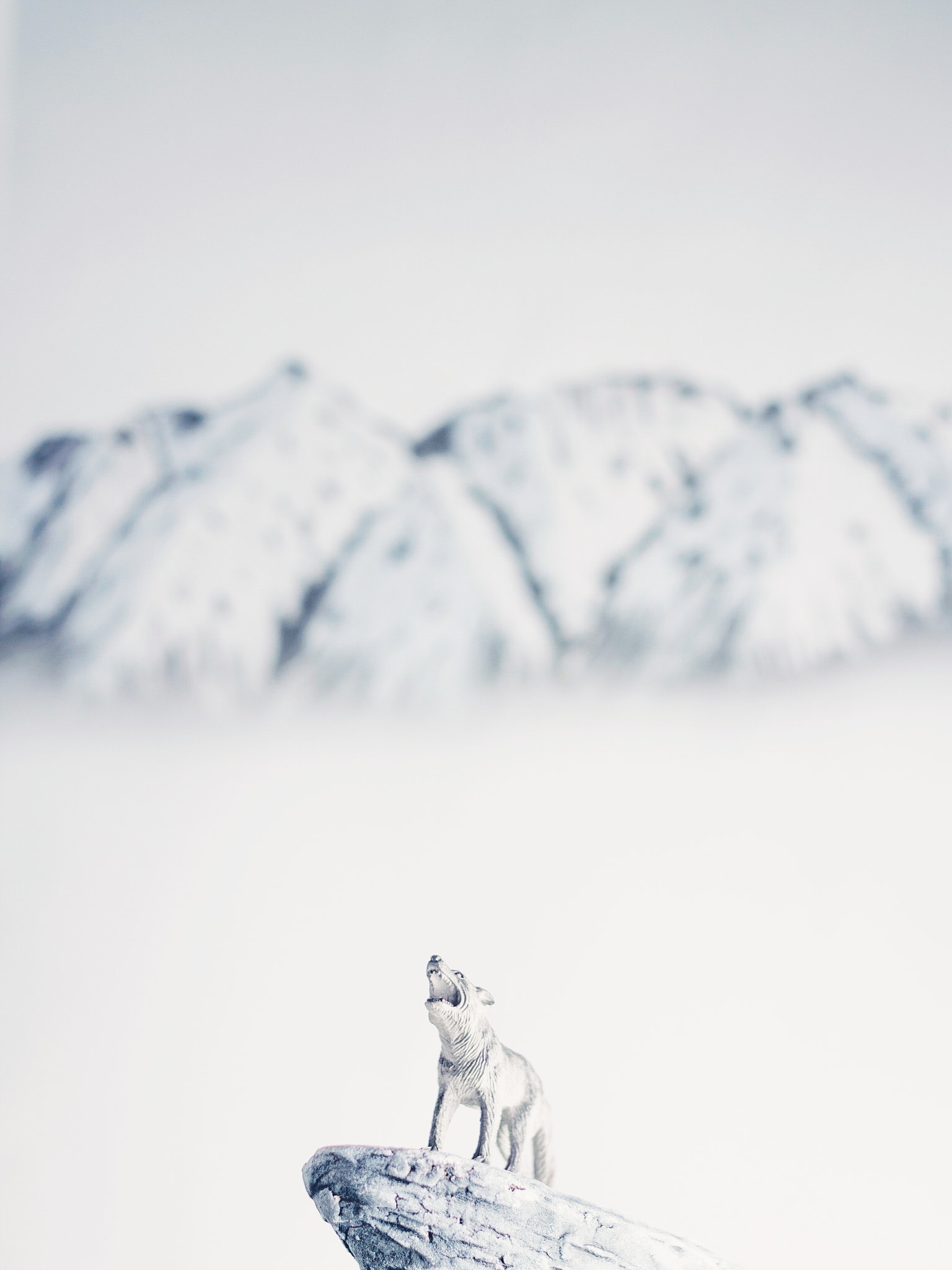 Canon EOS M + Canon EF 50mm F1.8 II sample photo. I scream photography