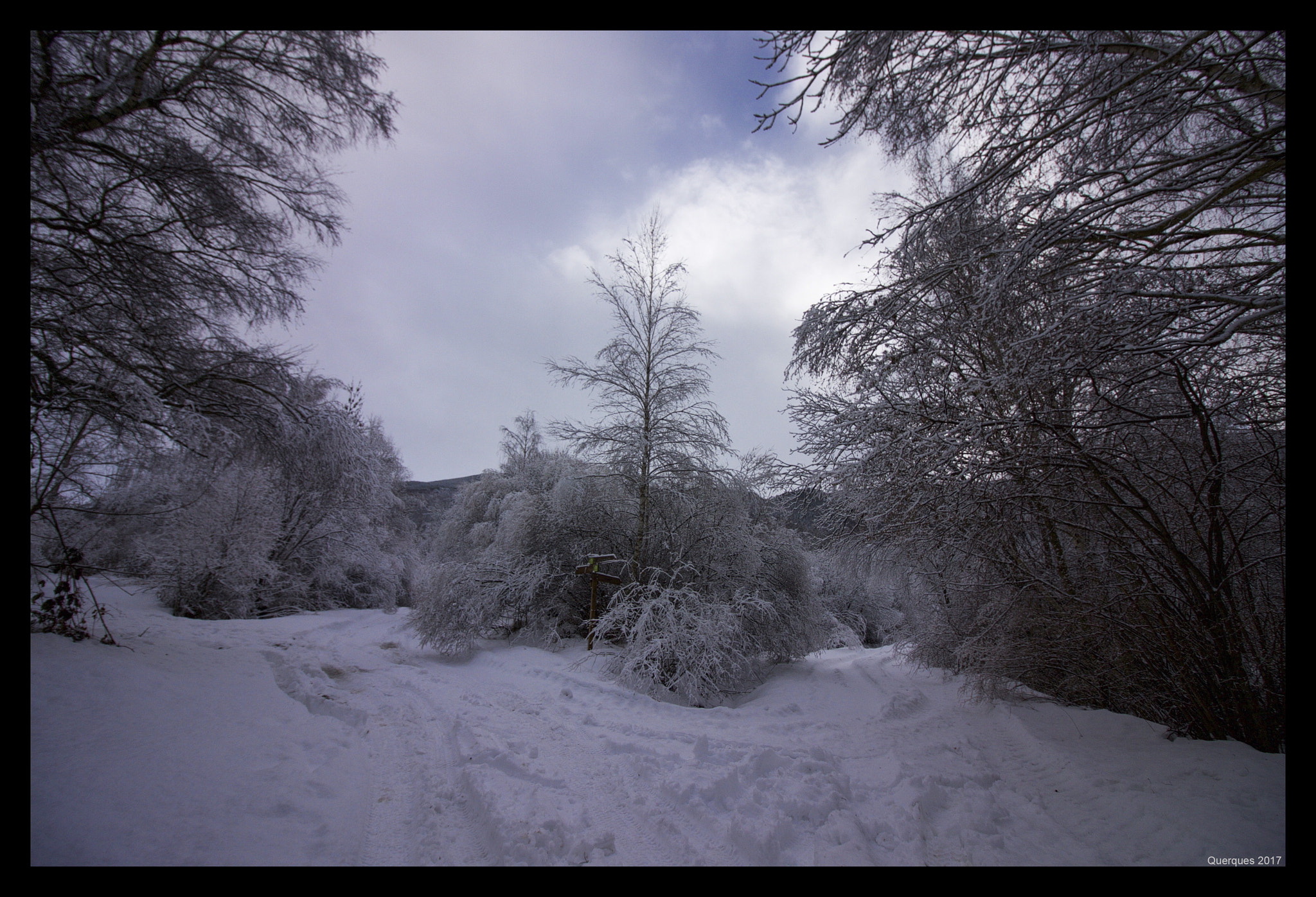 Canon EOS 40D sample photo. The trail photography