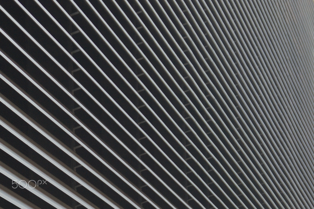 Nikon D70 sample photo. Infinity photography