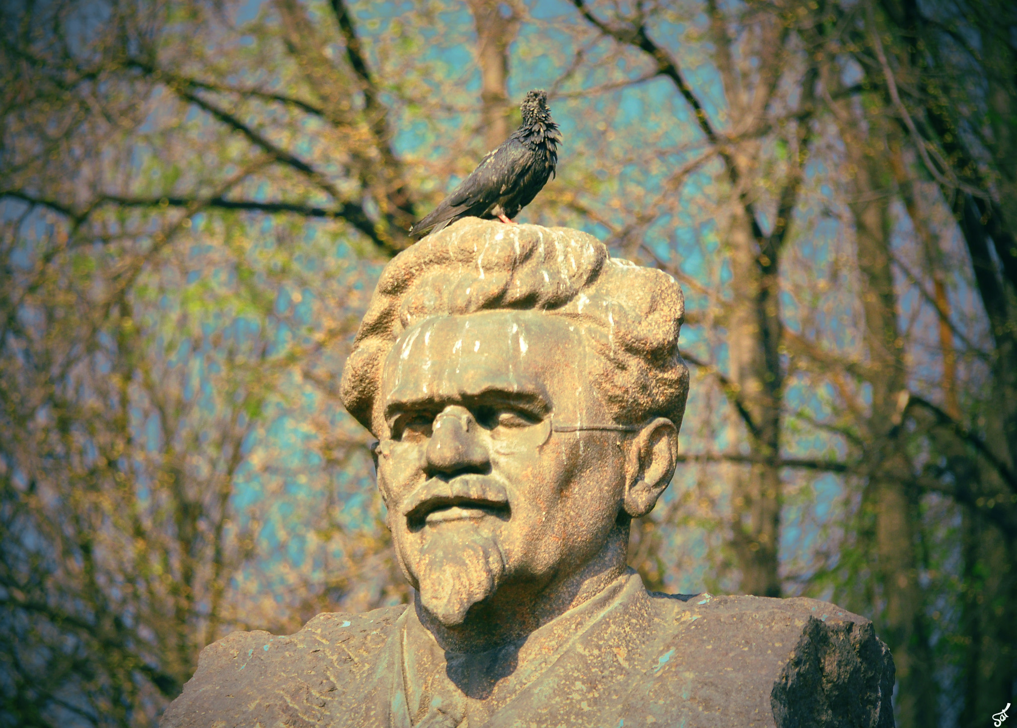 Sigma 18-200mm F3.5-6.3 DC OS HSM sample photo. Rise of the planet of the pigeons photography