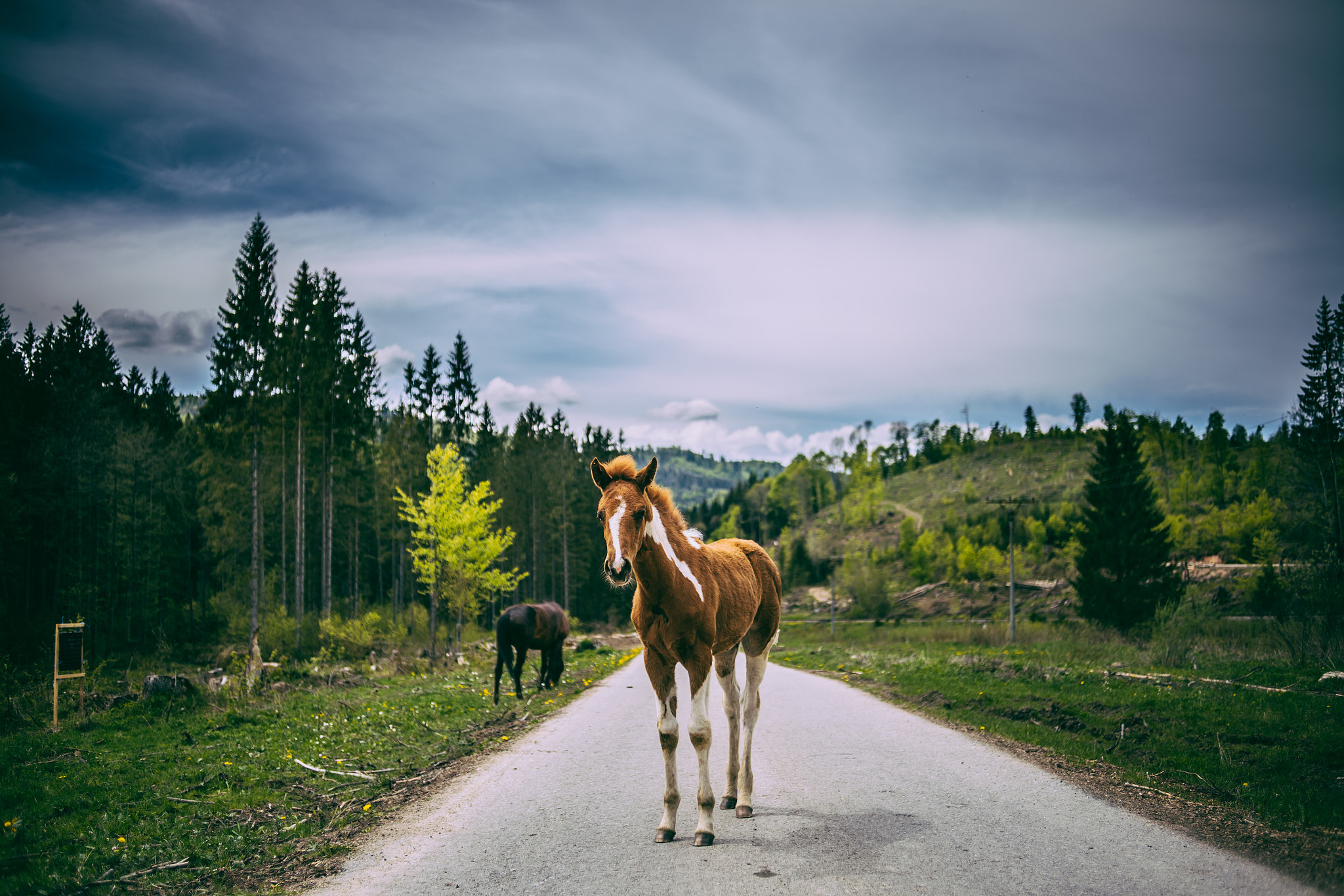 AF Nikkor 35mm f/2 sample photo. Muránska planina photography