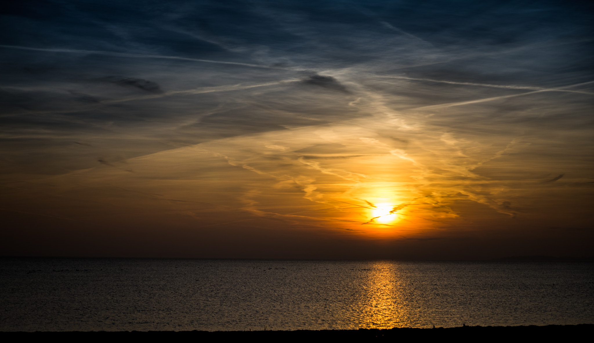 Sony a7 + Sony FE 70-200mm F4 G OSS sample photo. Late last night ! photography