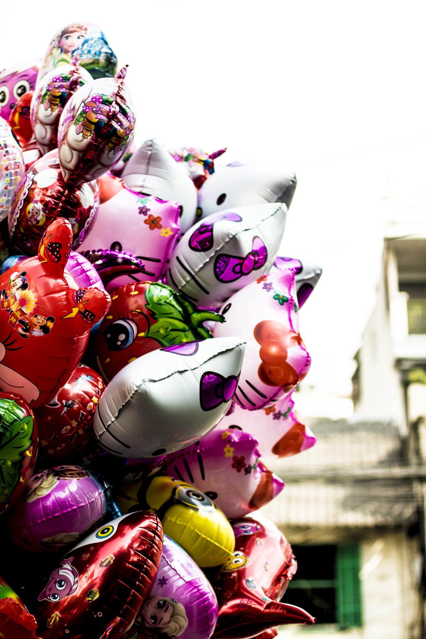 Canon EOS 750D (EOS Rebel T6i / EOS Kiss X8i) + Canon EF 50mm F1.4 USM sample photo. Balloon! photography