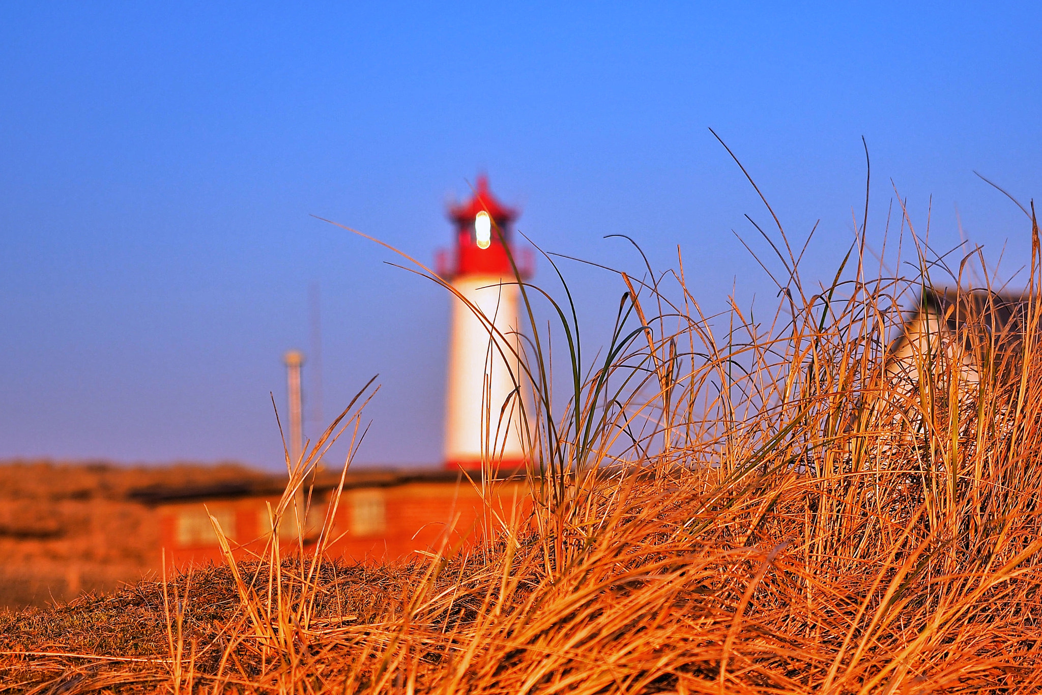 Olympus OM-D E-M5 II + Olympus M.Zuiko Digital ED 12-40mm F2.8 Pro sample photo. Sylt - ellenbogen photography