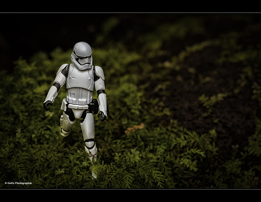 Sigma 105mm F2.8 EX DG Macro sample photo. Kampf um endor photography