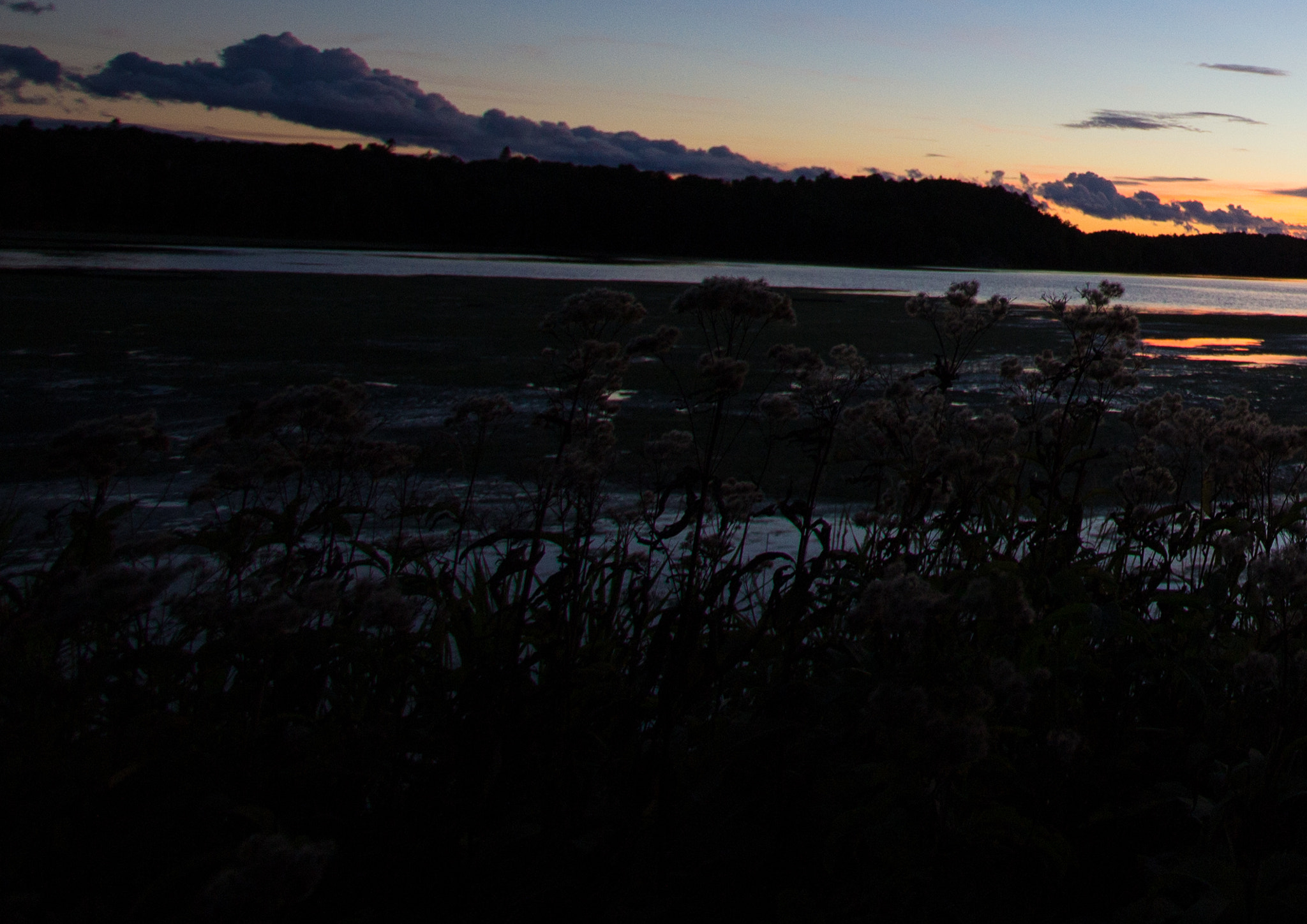 Canon EF-S 10-22mm F3.5-4.5 USM sample photo. 31648914652.jpg photography