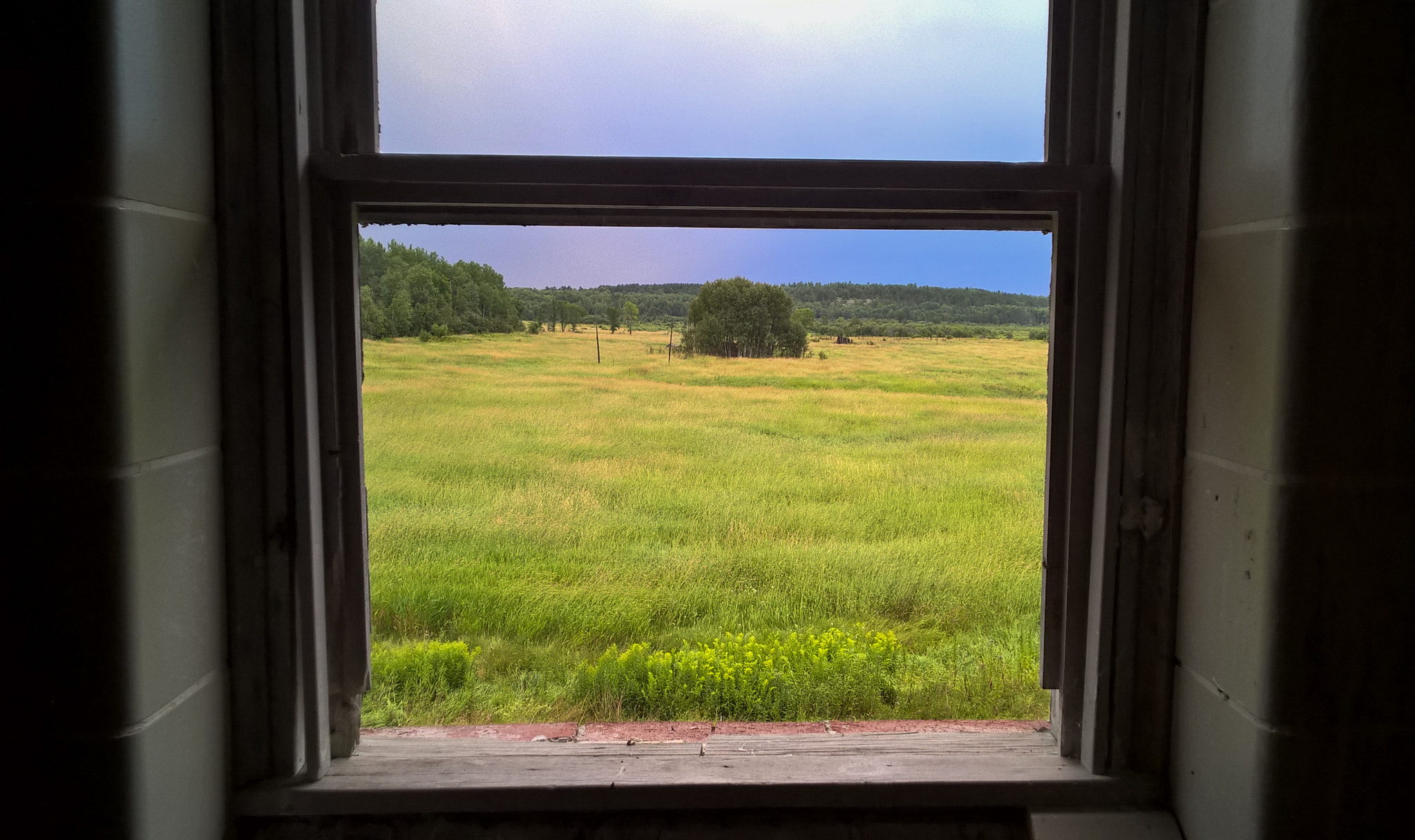 Nokia Lumia 830 sample photo. 31796172625.jpg photography