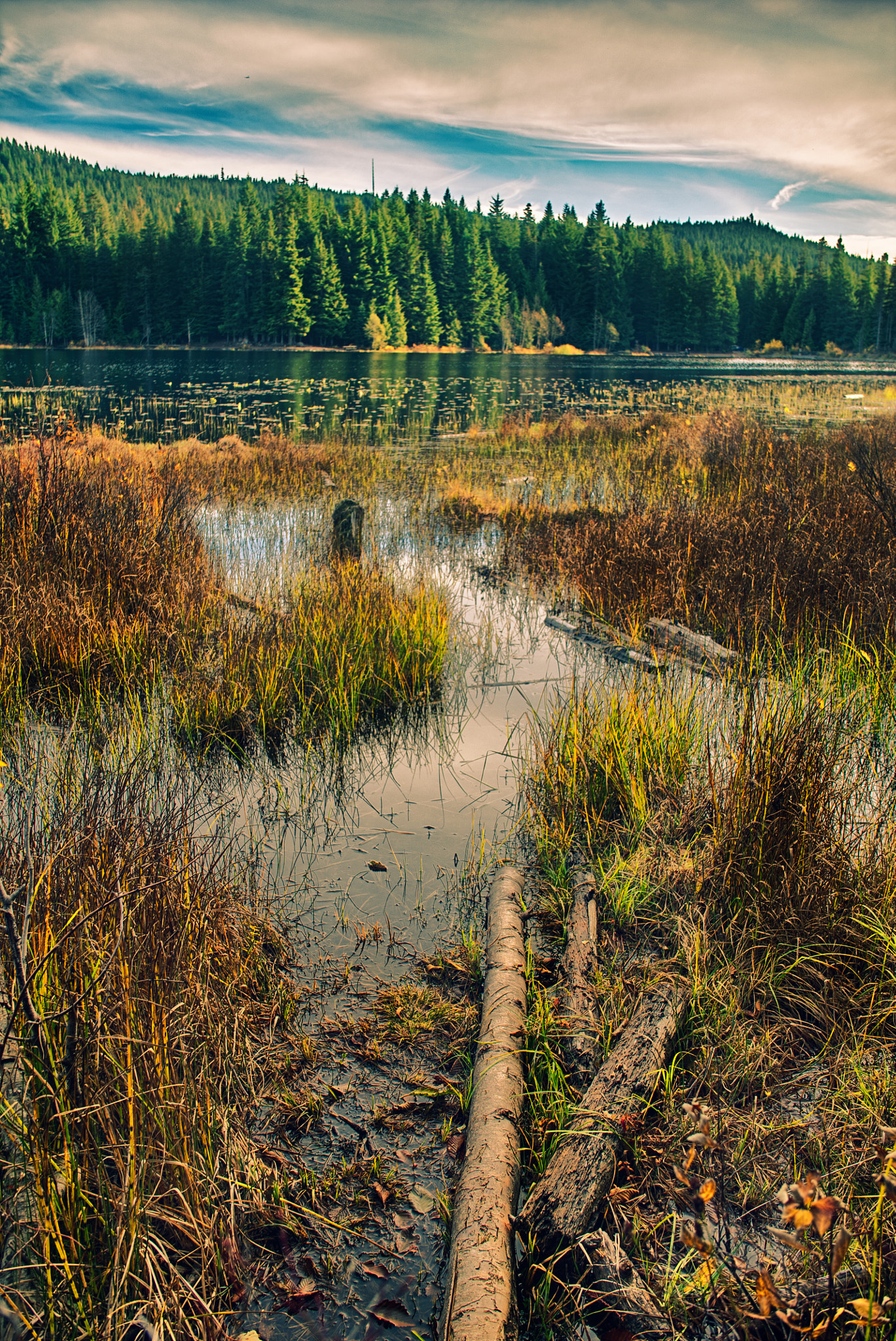 Sony a7S + Minolta AF 28-70mm F2.8 G sample photo. Trillium reeds photography