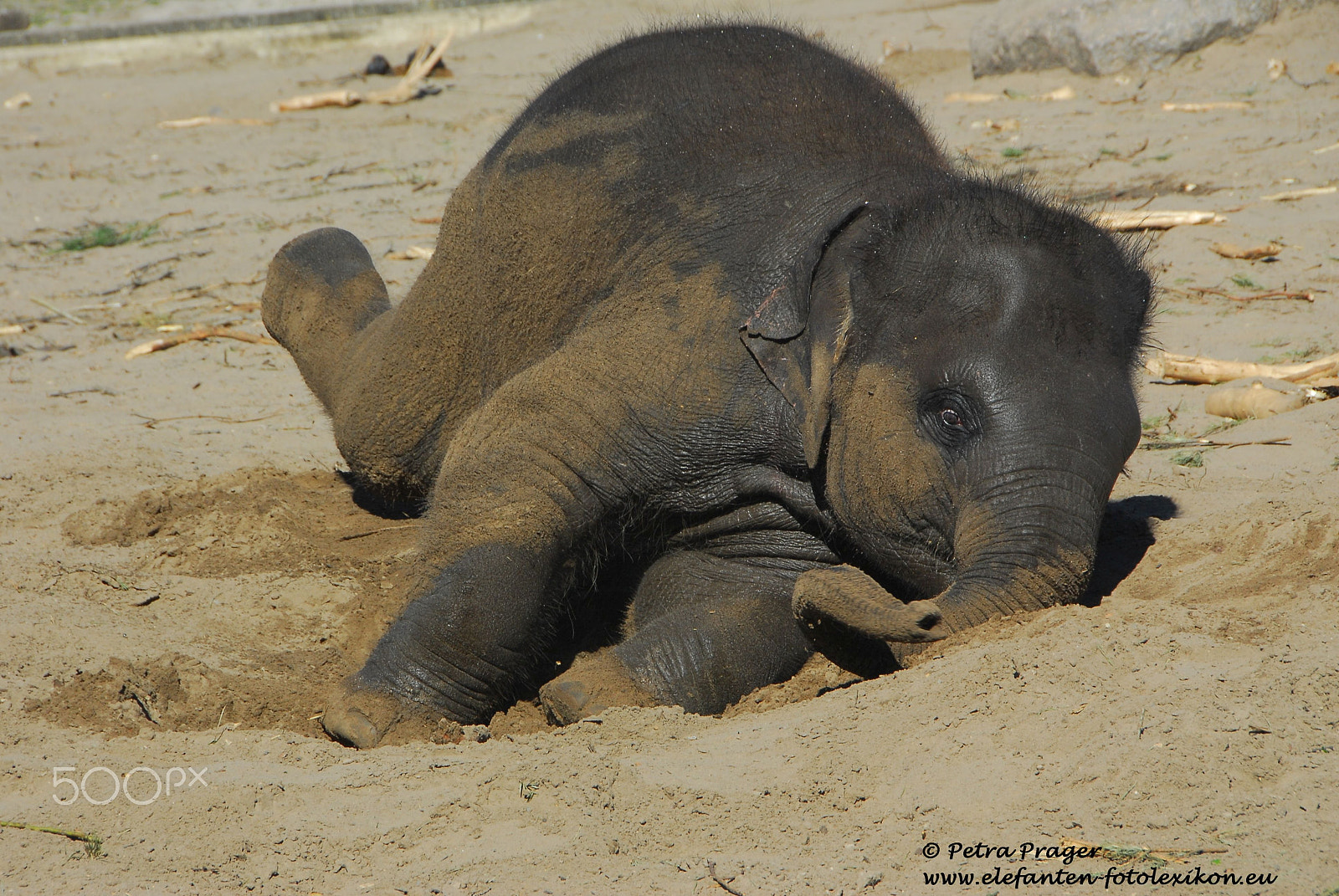 Nikon D200 sample photo. I love the sand photography