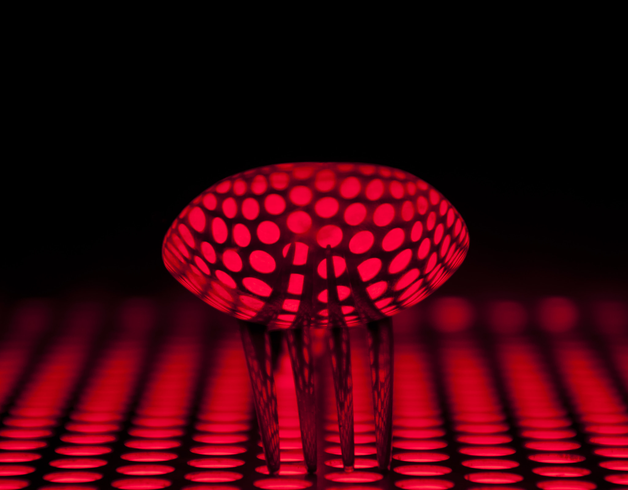 Nikon D5000 sample photo. Reds & blacks photography