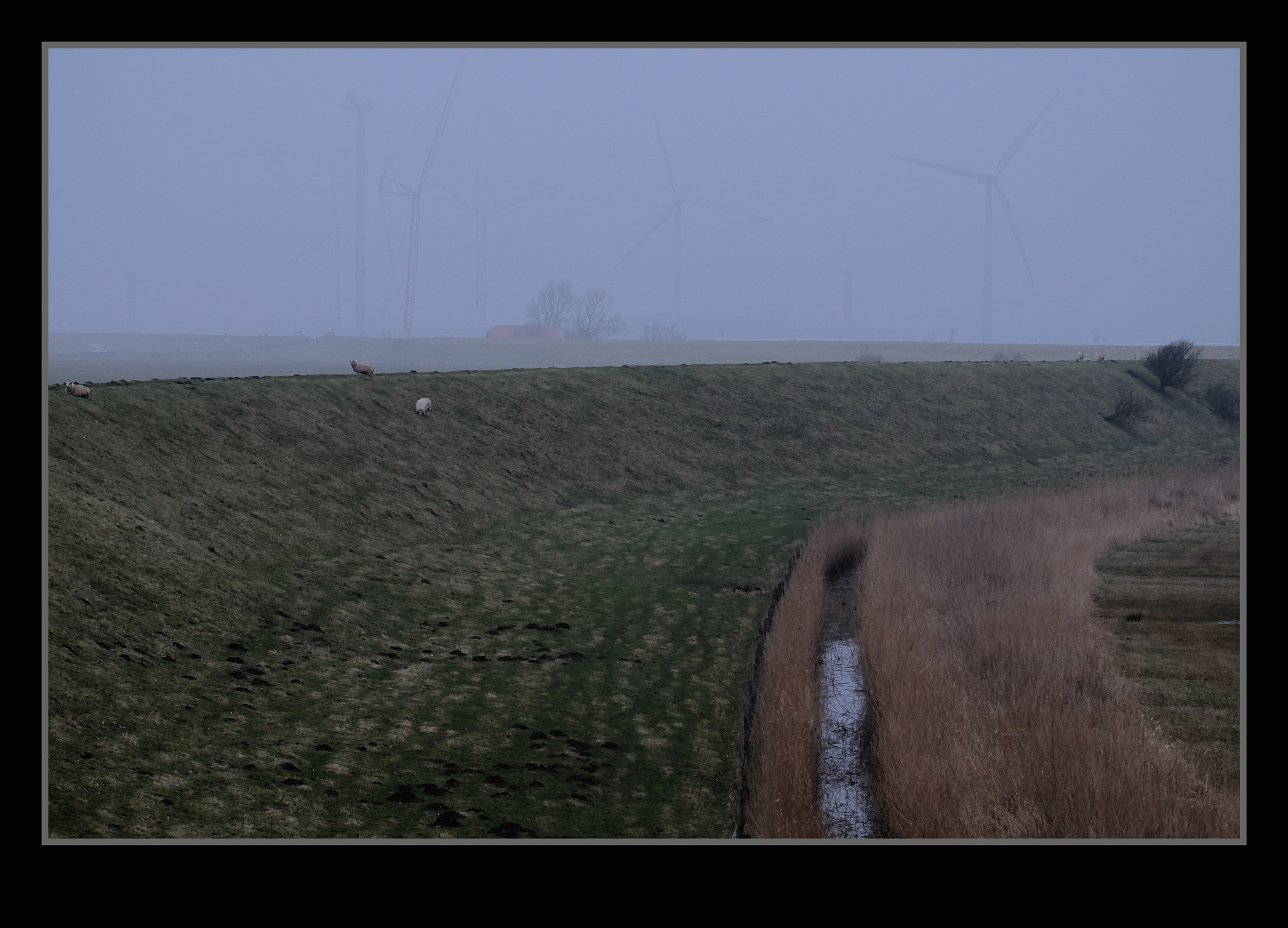 Fujifilm X-E2 + Fujifilm XF 55-200mm F3.5-4.8 R LM OIS sample photo. Near husum photography