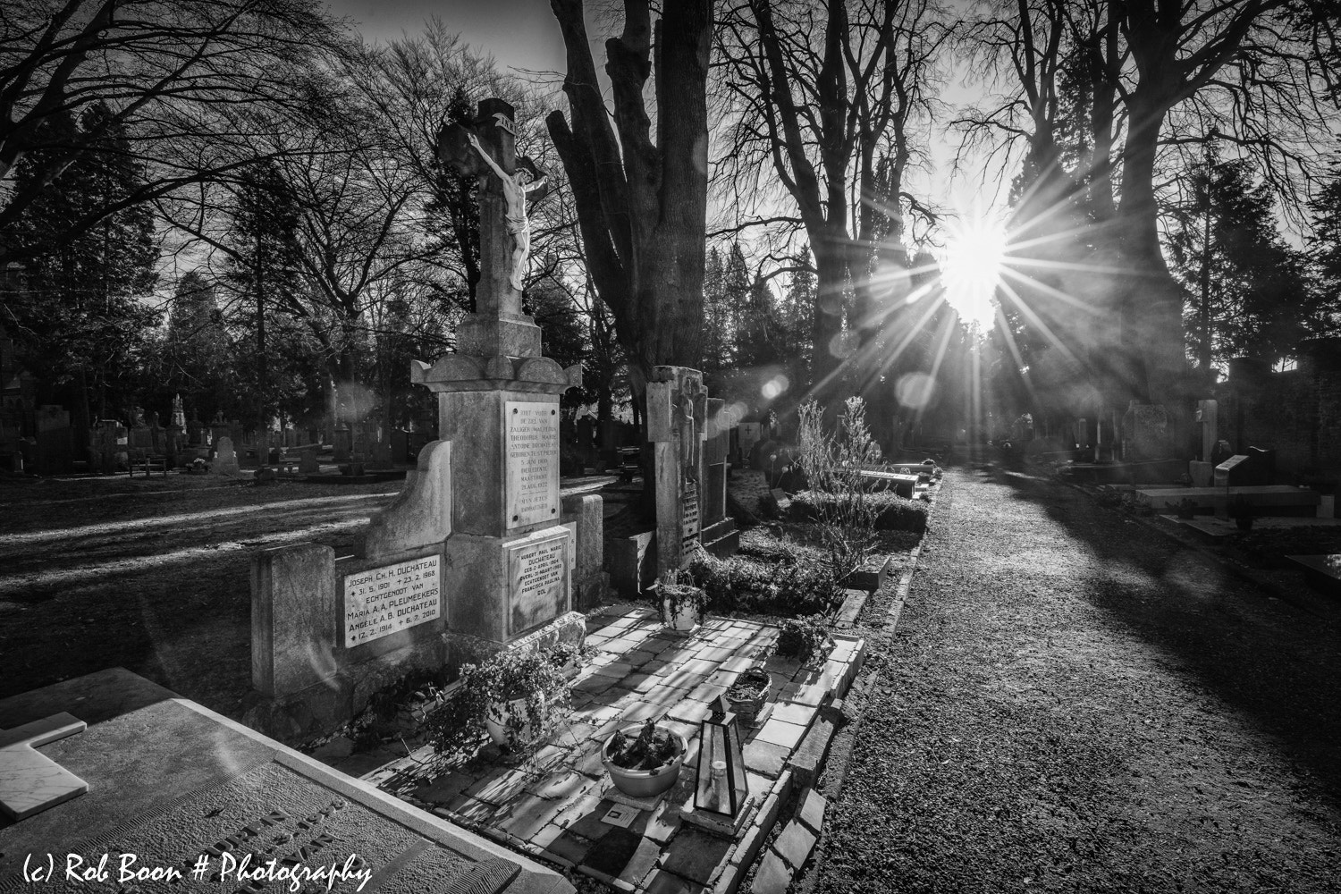 Canon EF 16-35mm F4L IS USM sample photo. Cemetery tongerseweg @ maastricht 6 photography