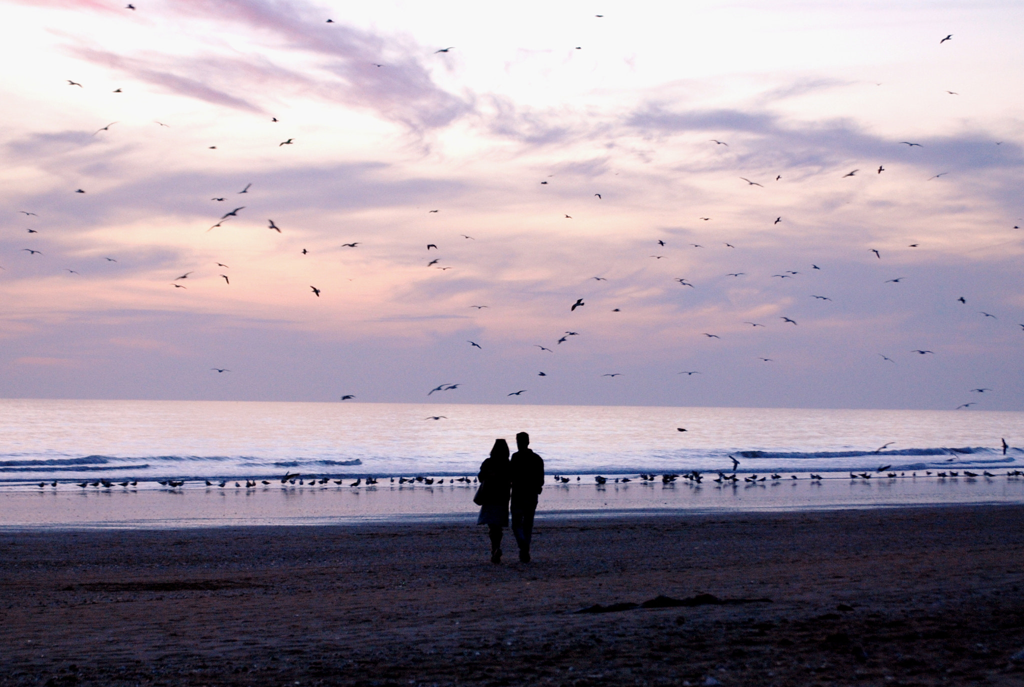 Nikon D80 sample photo. At the beach photography