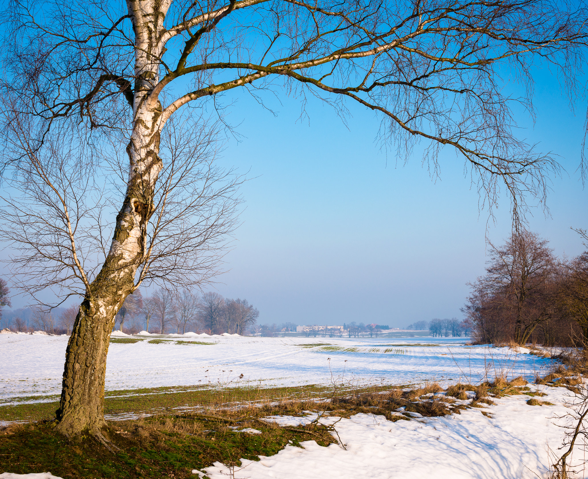 Nikon D800 + Sigma 50mm F1.4 EX DG HSM sample photo. Winter photography