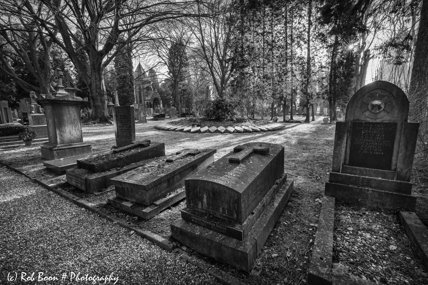 Canon EF 16-35mm F4L IS USM sample photo. Cemetery tongerseweg @ maastricht 7 photography
