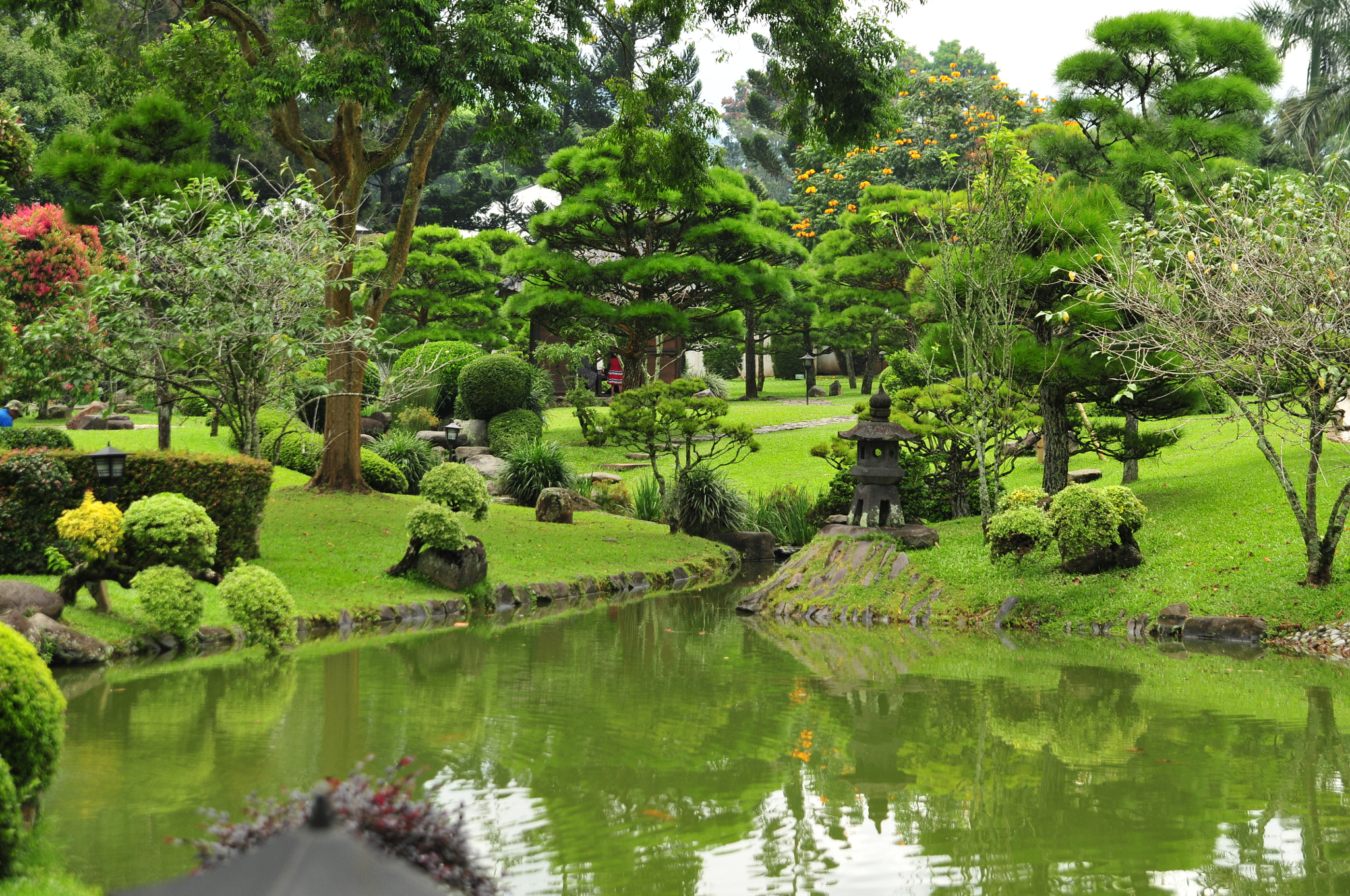 Nikon D300 sample photo. Taman jepang photography