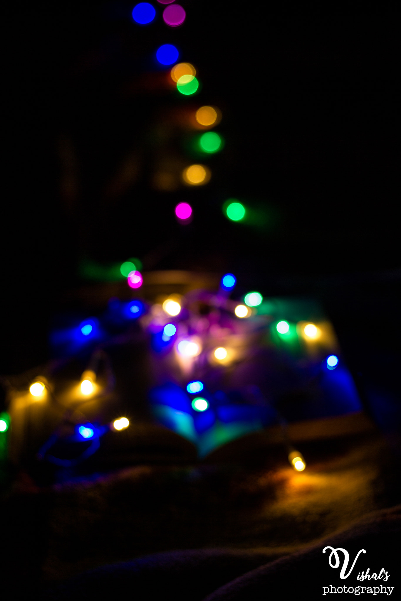 Canon EOS 550D (EOS Rebel T2i / EOS Kiss X4) sample photo. Bokeh photography
