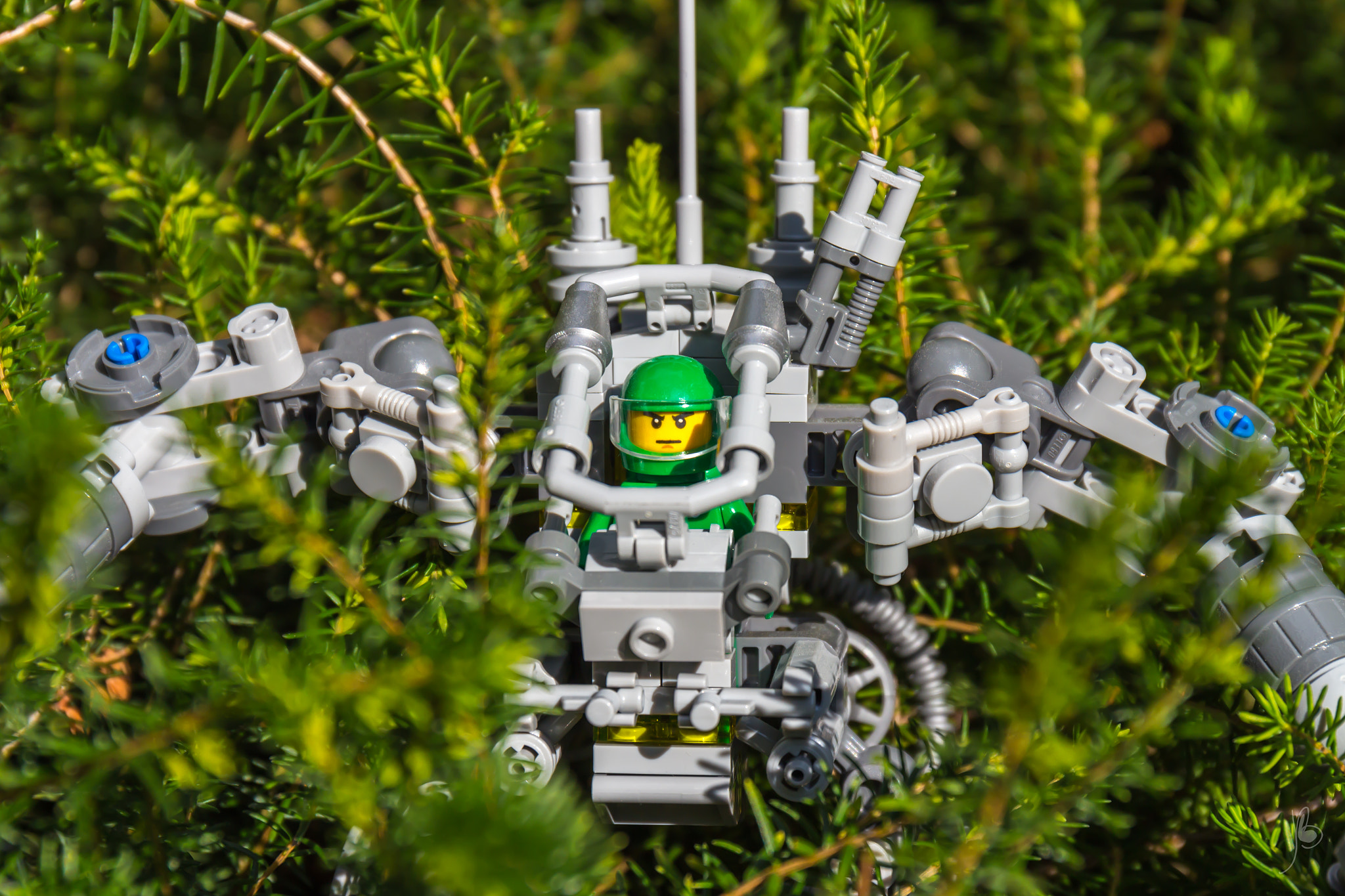 Canon EF 24-70mm F4L IS USM sample photo. Tree mech photography