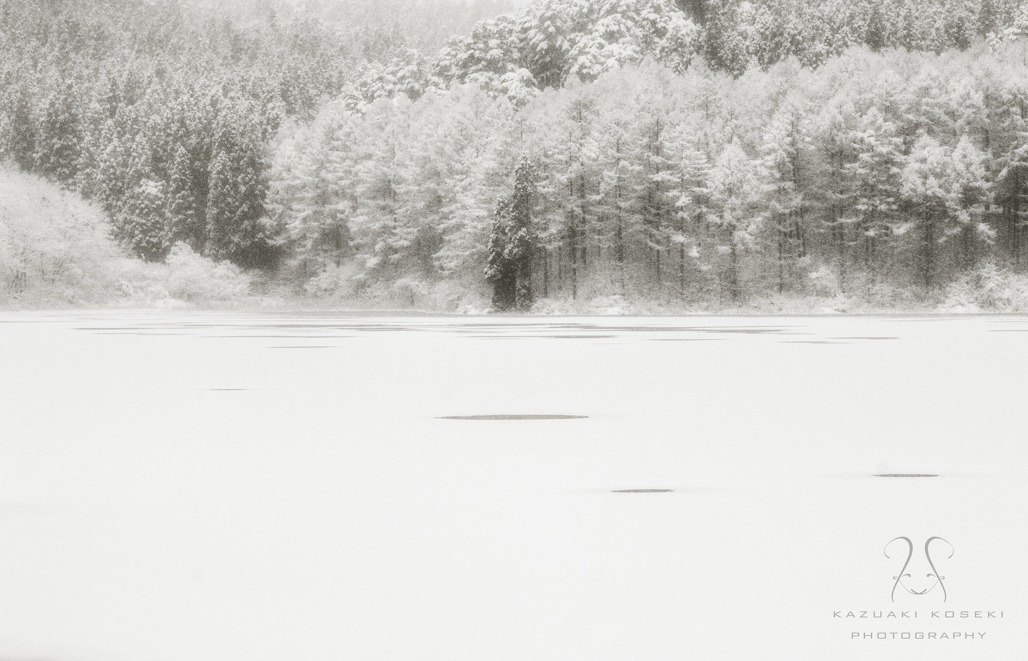 AF DC-Nikkor 135mm f/2 sample photo. White tree~yamagata,japan~ photography