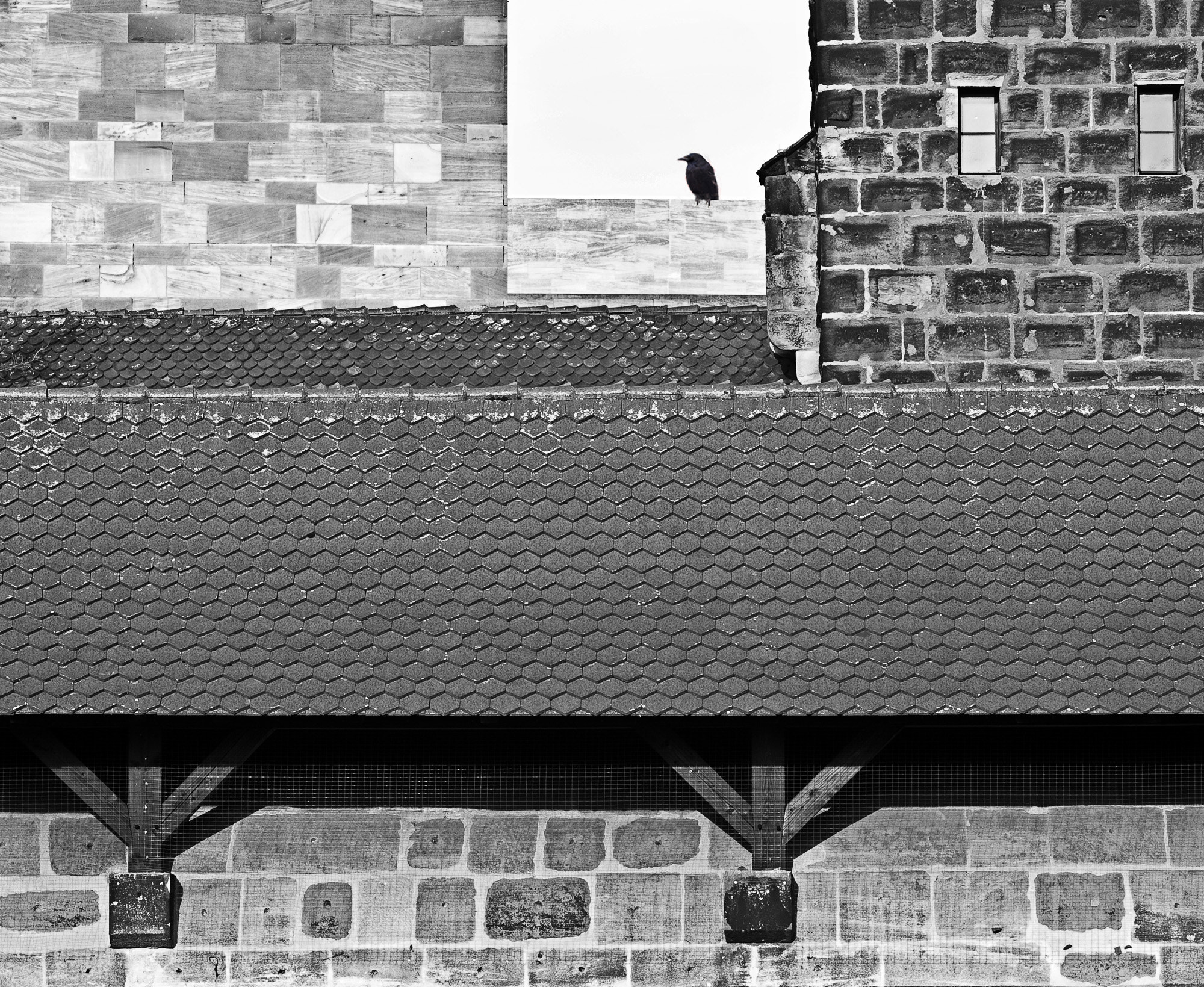 Olympus E-620 (EVOLT E-620) + OLYMPUS 50mm Lens sample photo. The crow on the roof photography