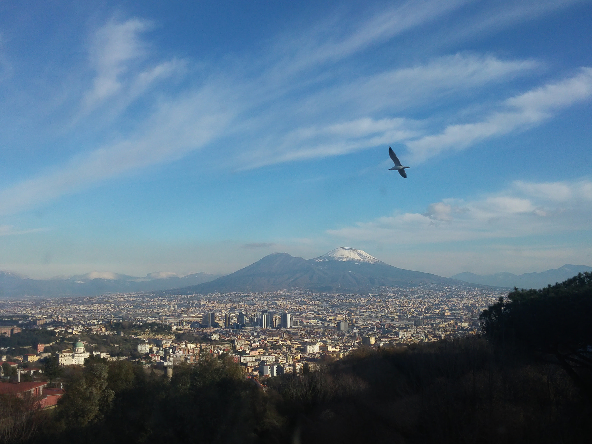 LG G FLEX2 sample photo. Free as a bird. photography