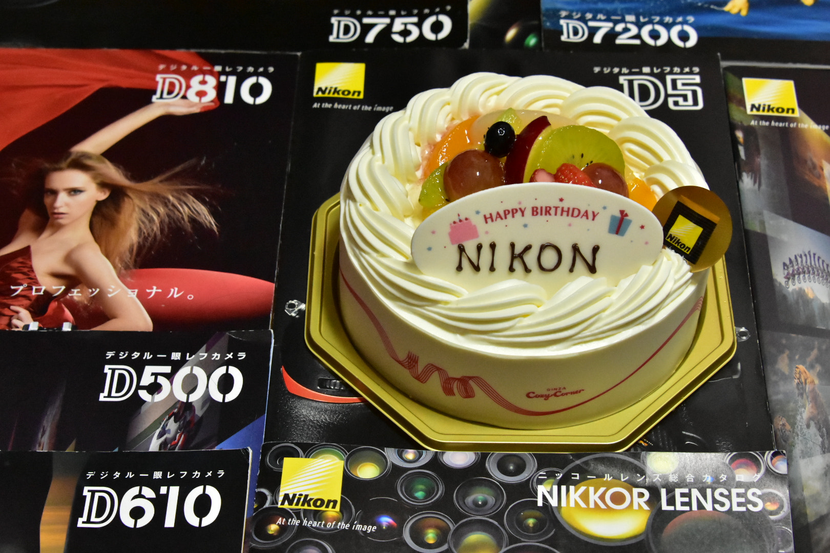 Nikon D7200 + Nikon AF-S Nikkor 28-300mm F3.5-5.6G ED VR sample photo. Nikon, happy birthday!  photography