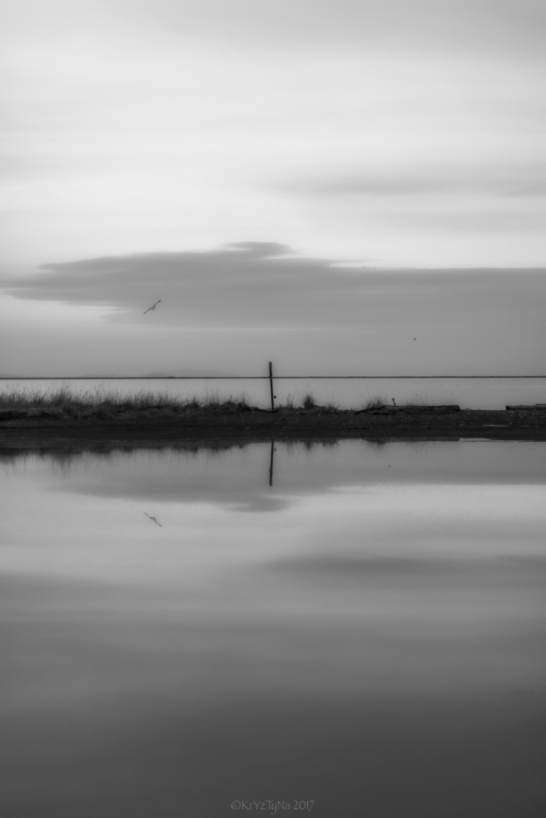 Canon EF 50mm F1.2L USM sample photo. 3 crabs beach, sequim, washington photography