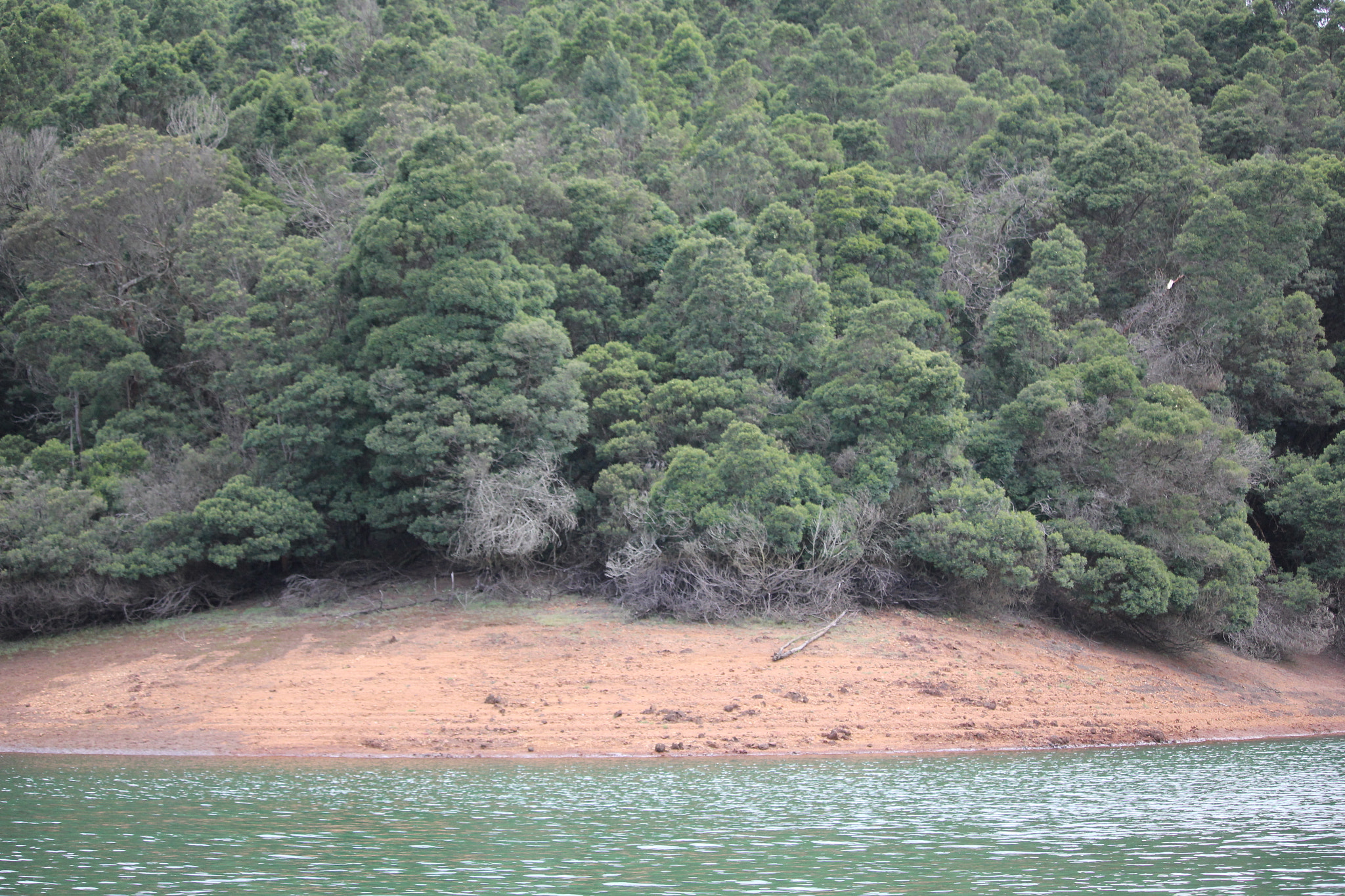 Canon EF-S 55-250mm F4-5.6 IS STM sample photo. A world in balance photography