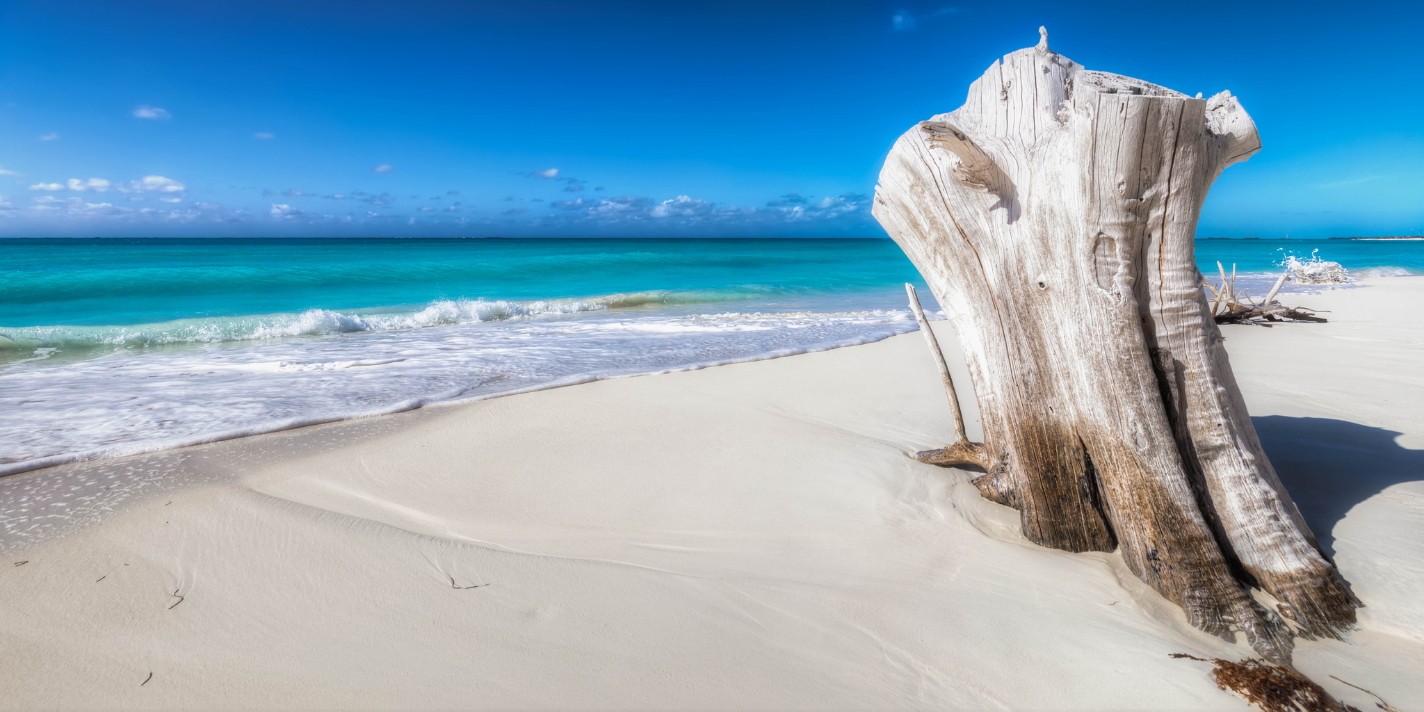 Canon EF 300mm f/2.8L sample photo. Whitesand photography