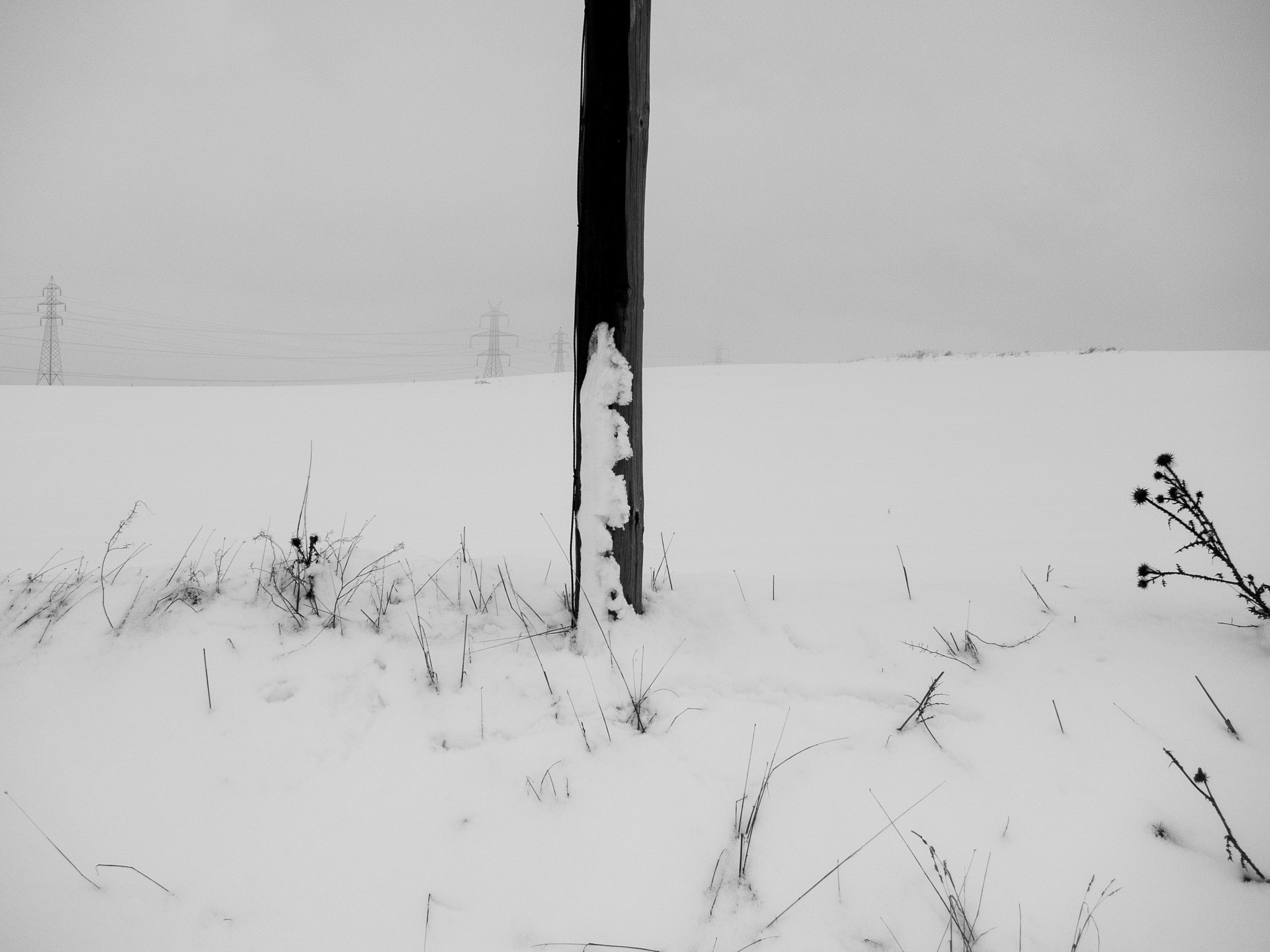 Canon PowerShot S90 sample photo. Bw winter photography